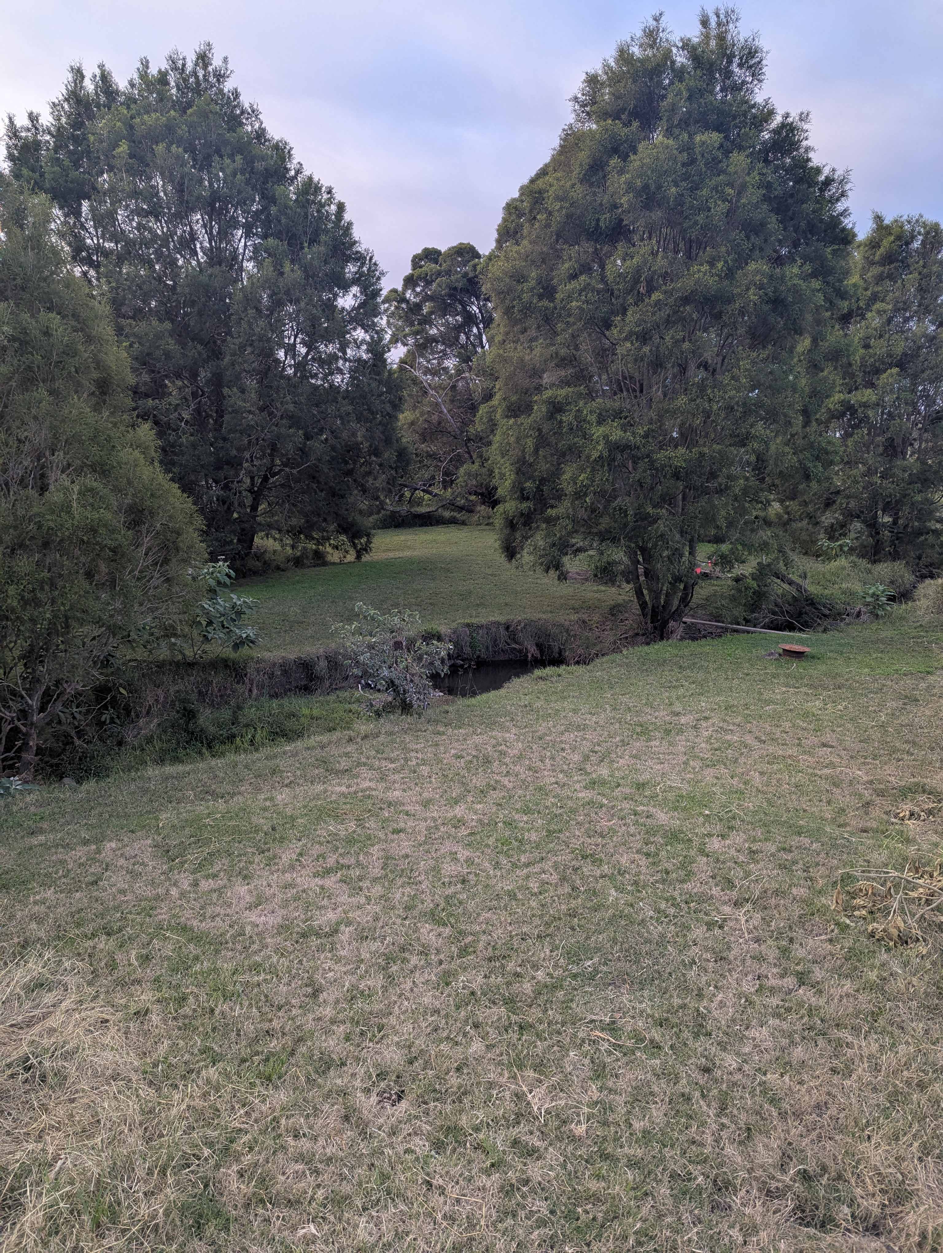 Running creek 