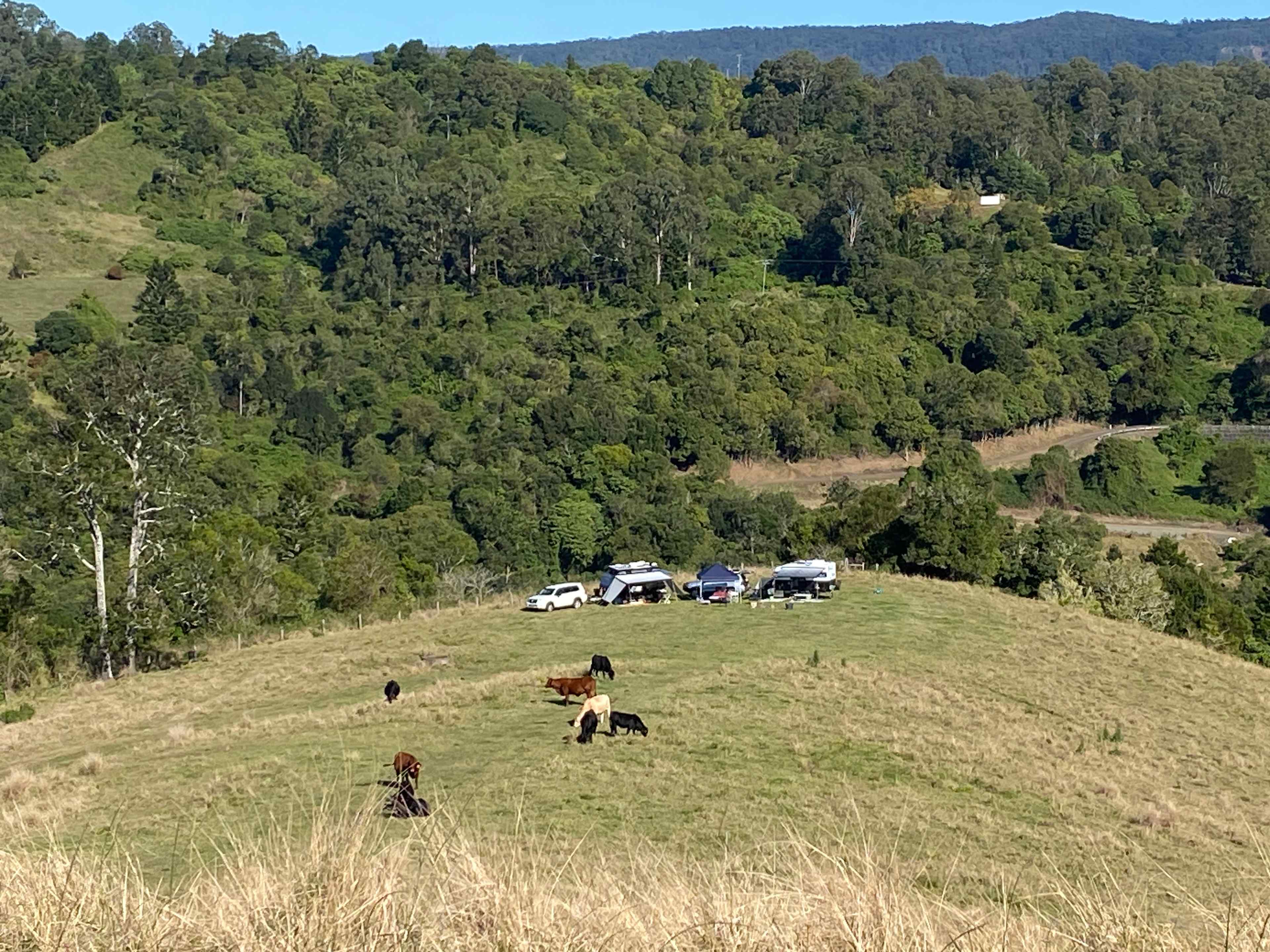 Oakey Ridge