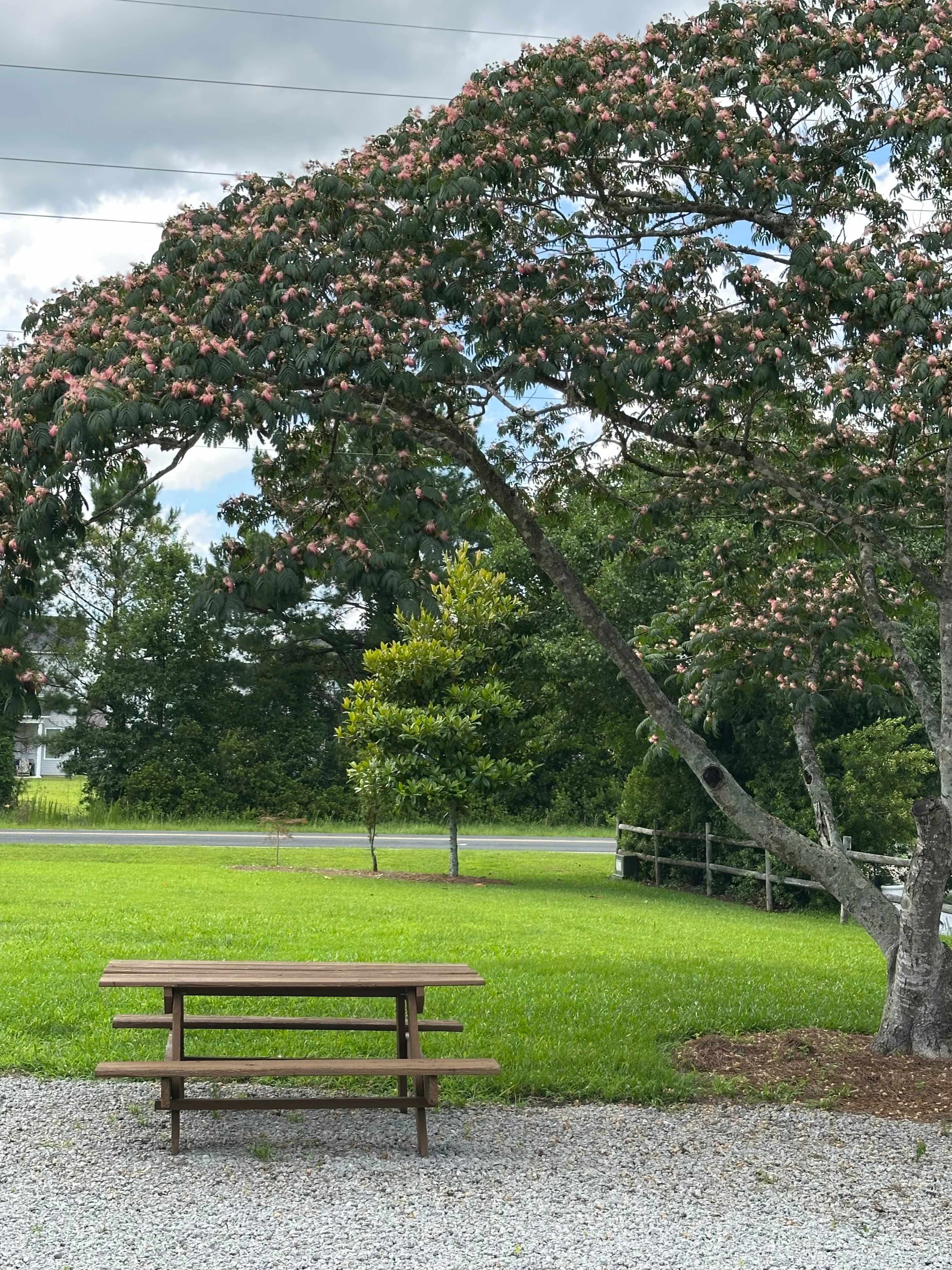 Shaded picnic area. 