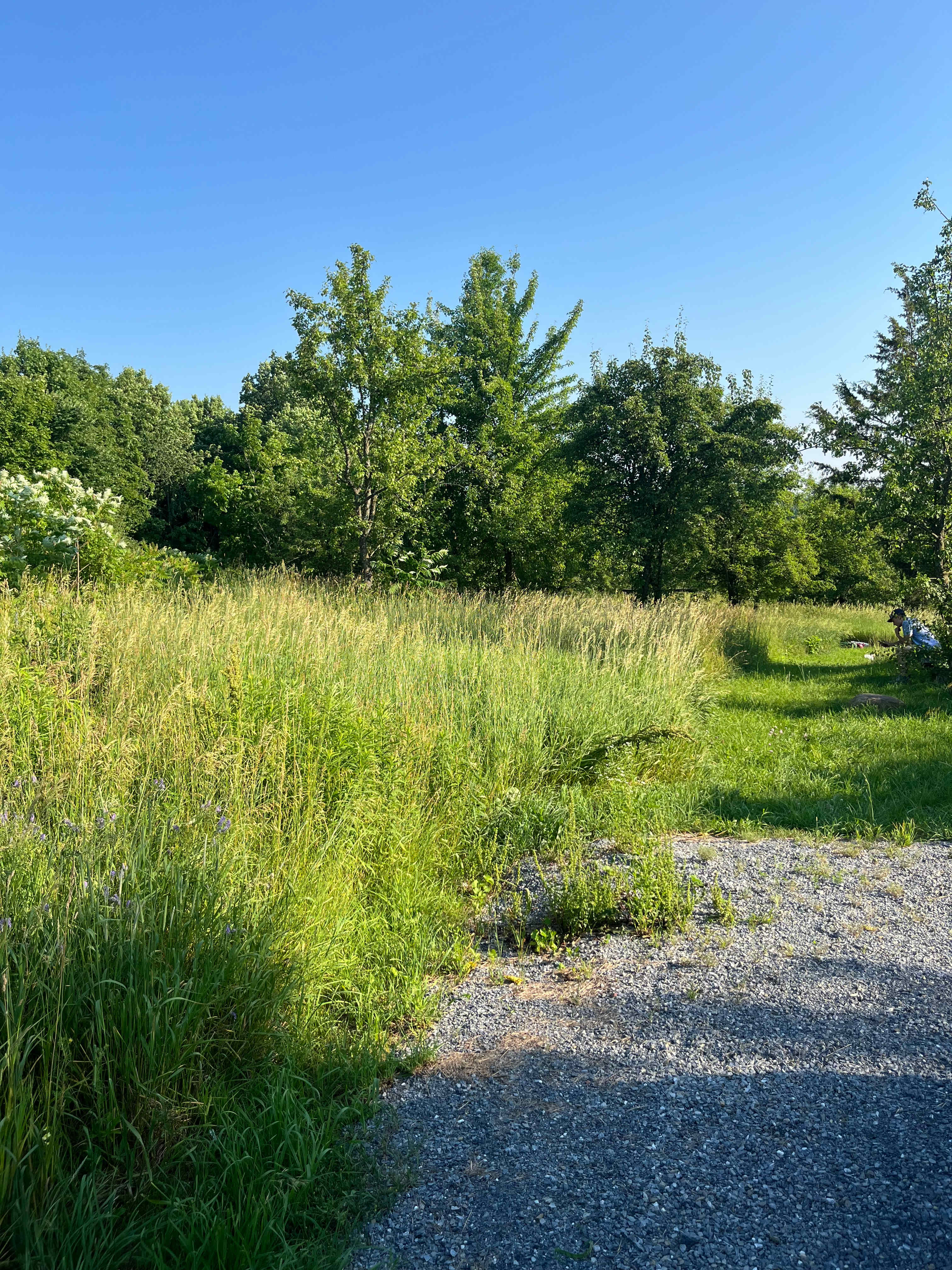 Vergennes Hilltop