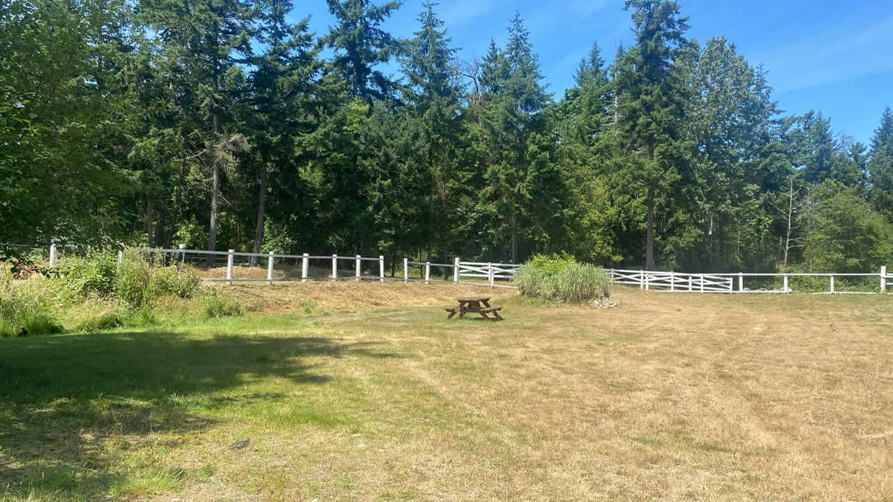 Wild Coast Parksville Campsite