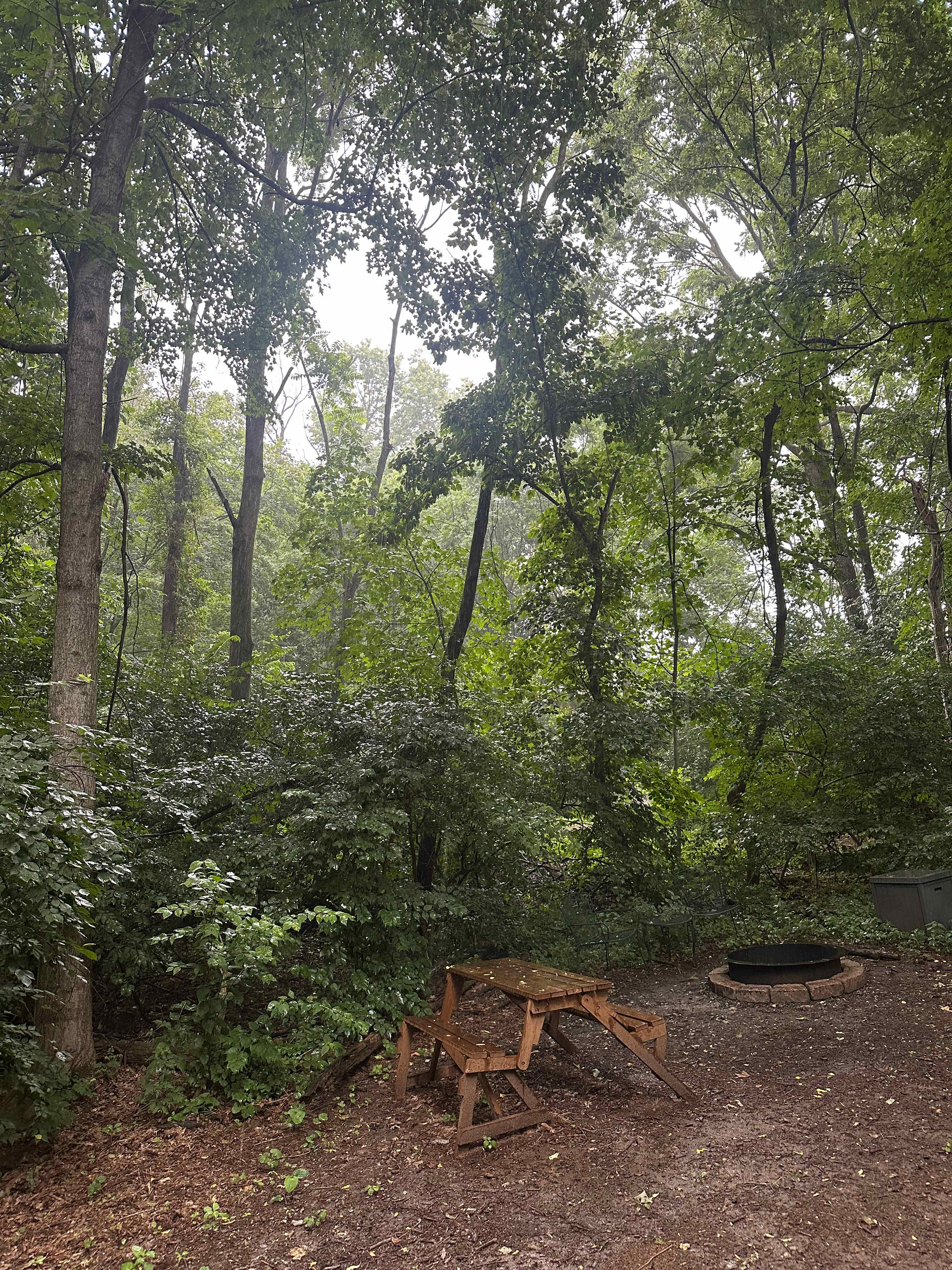 View from the door on a rainy morning