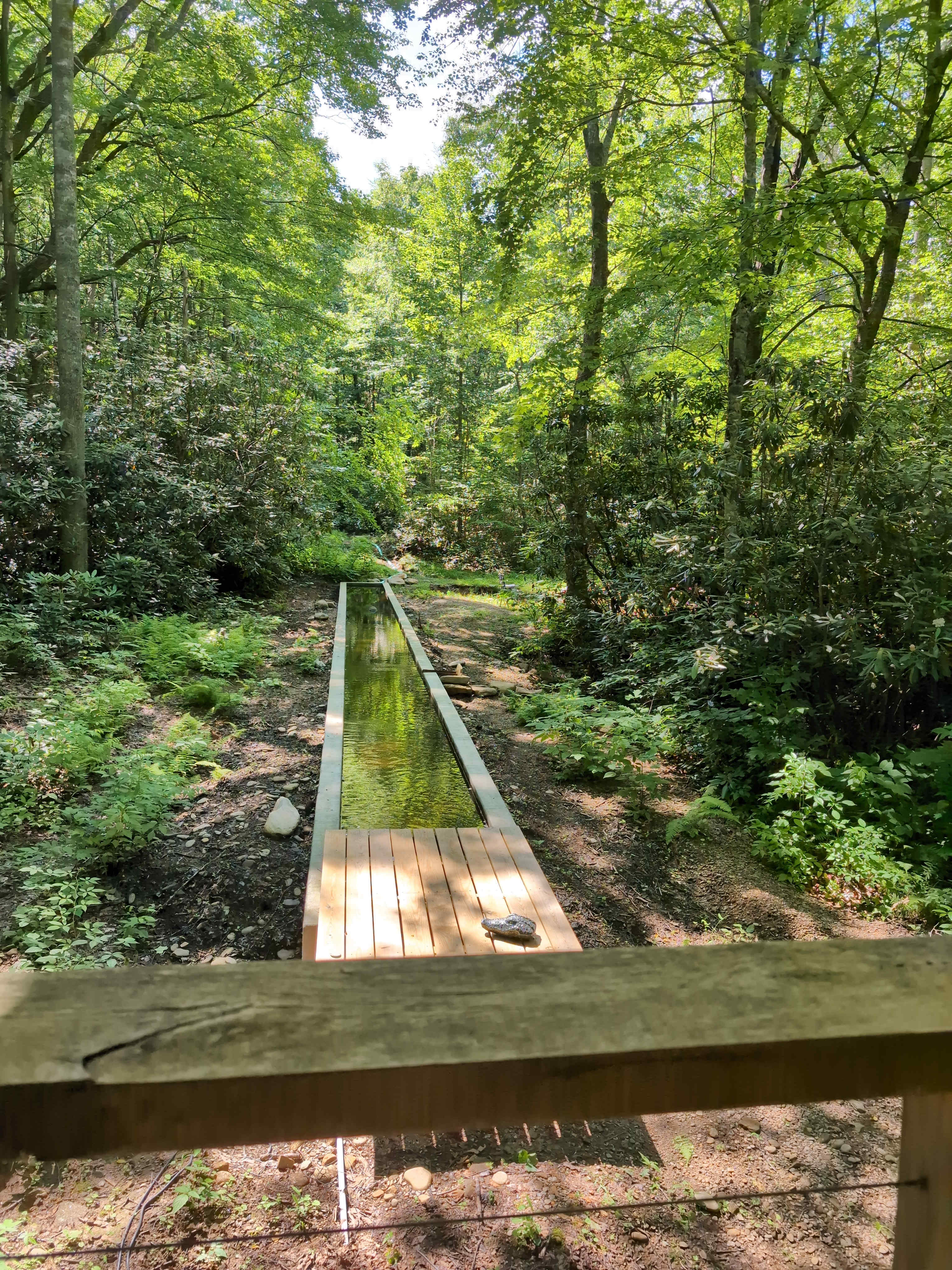 View off back deck