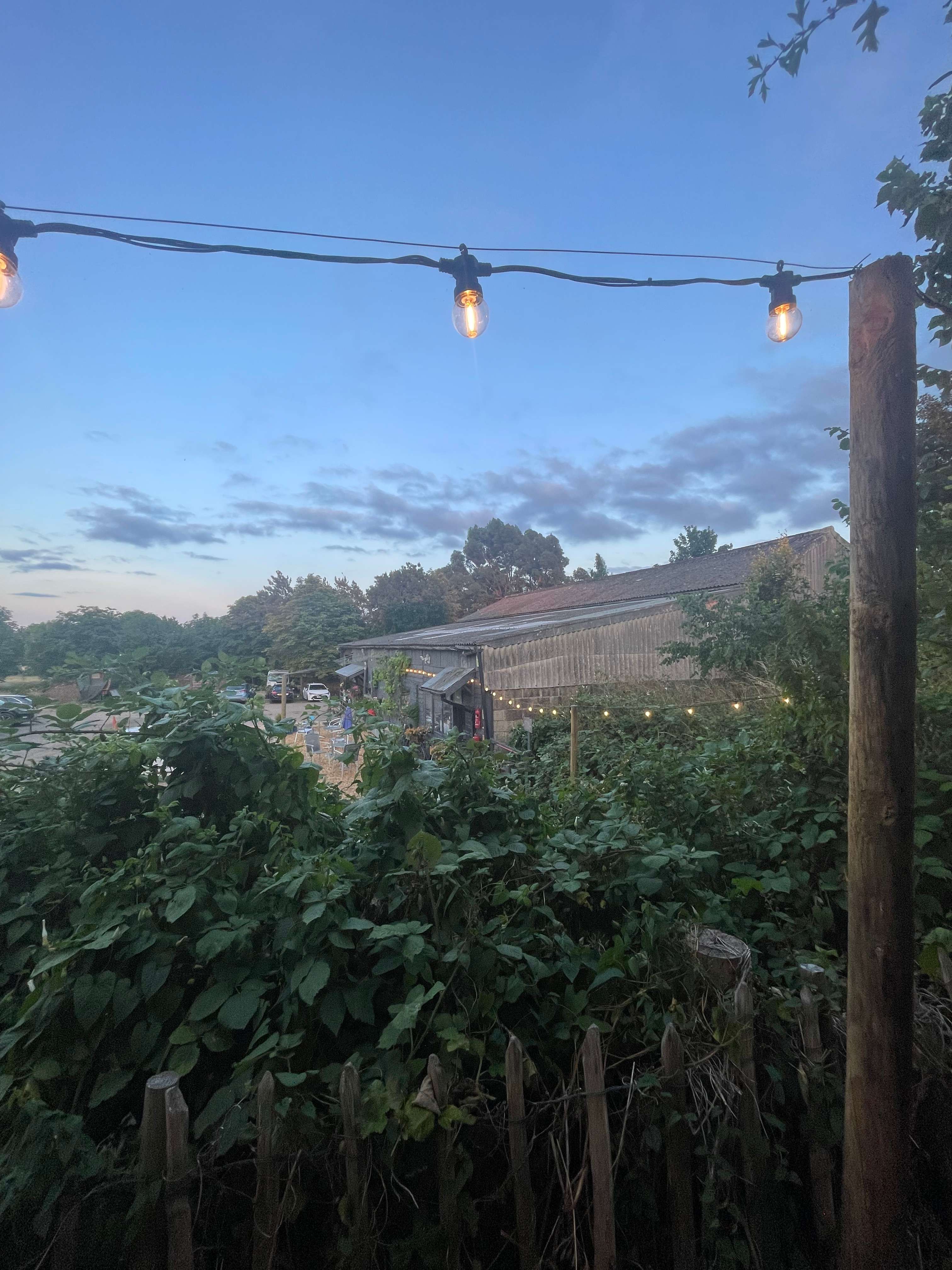 Twitey's Camping & Glamping meadows