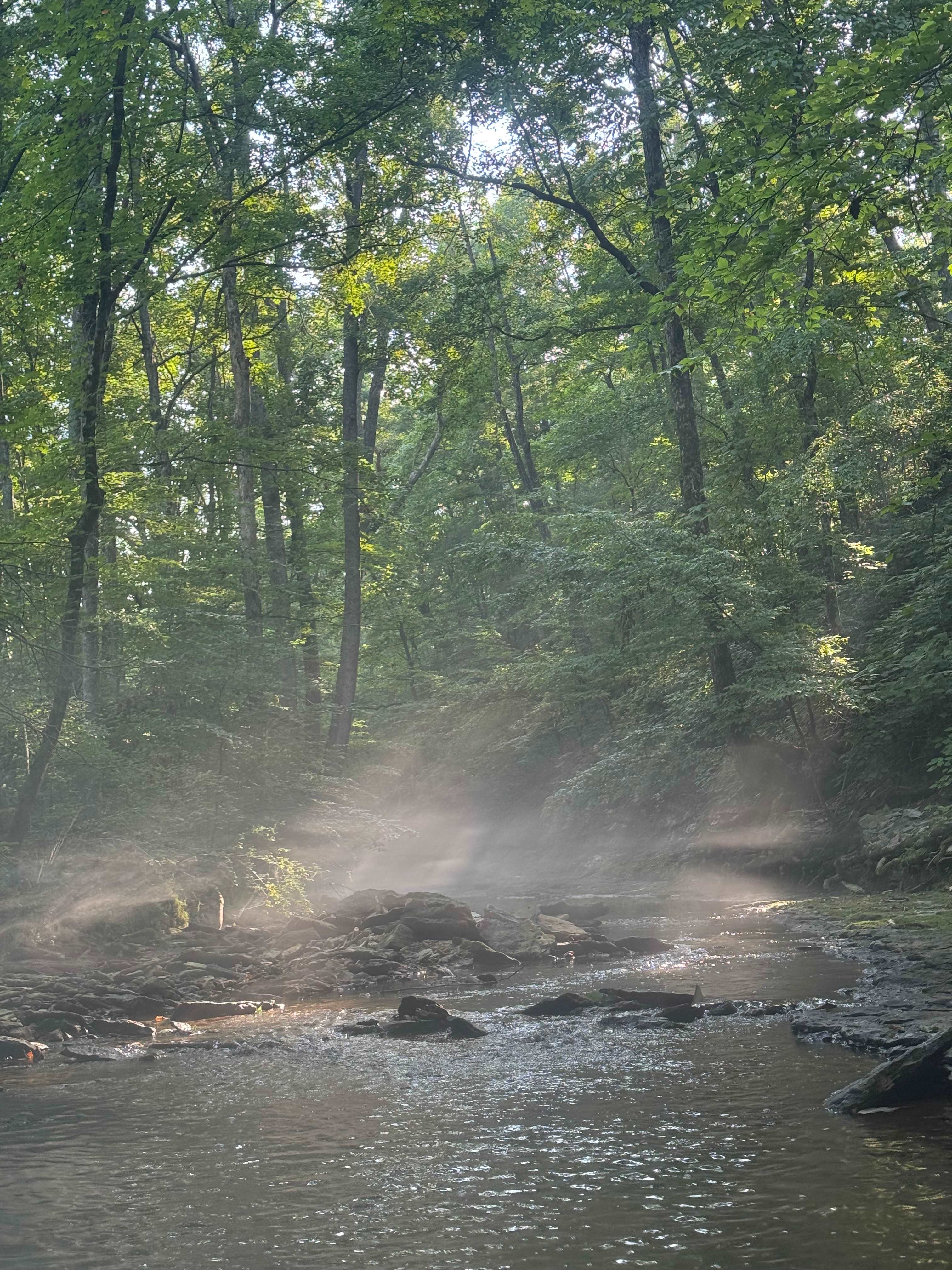 Early morning exploring the river 