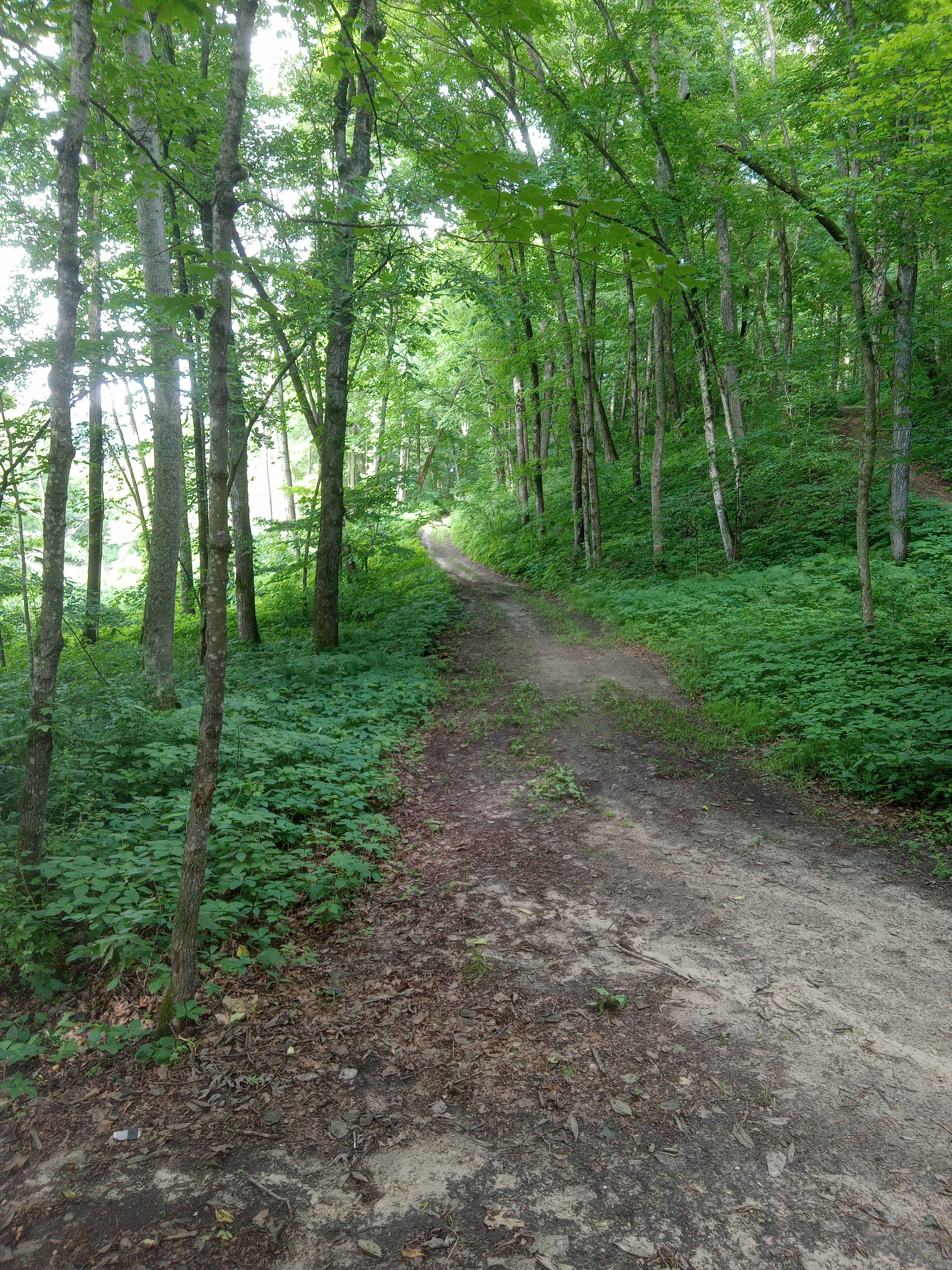 Belle Creek Bluff