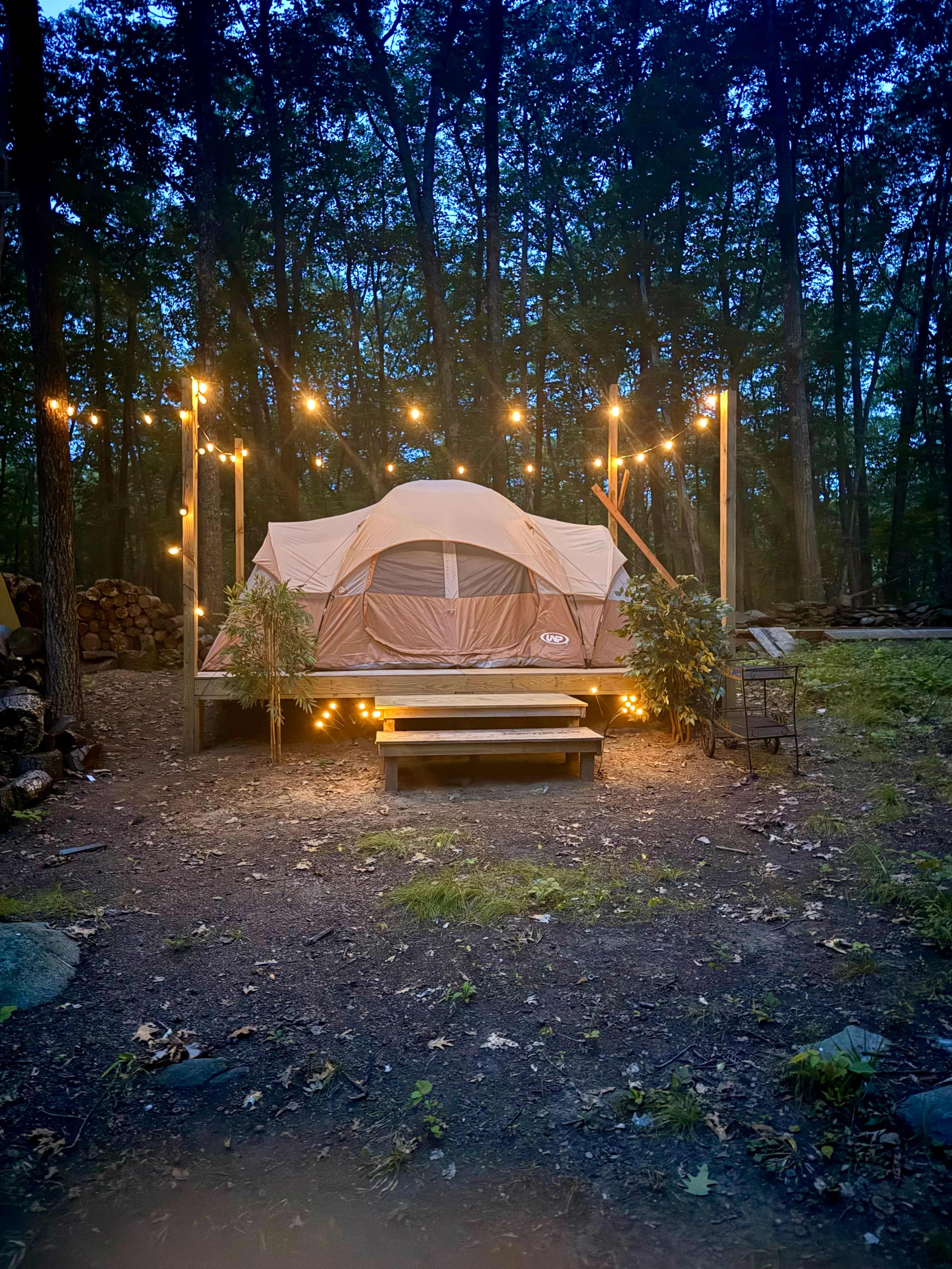 Forest Treasure Island