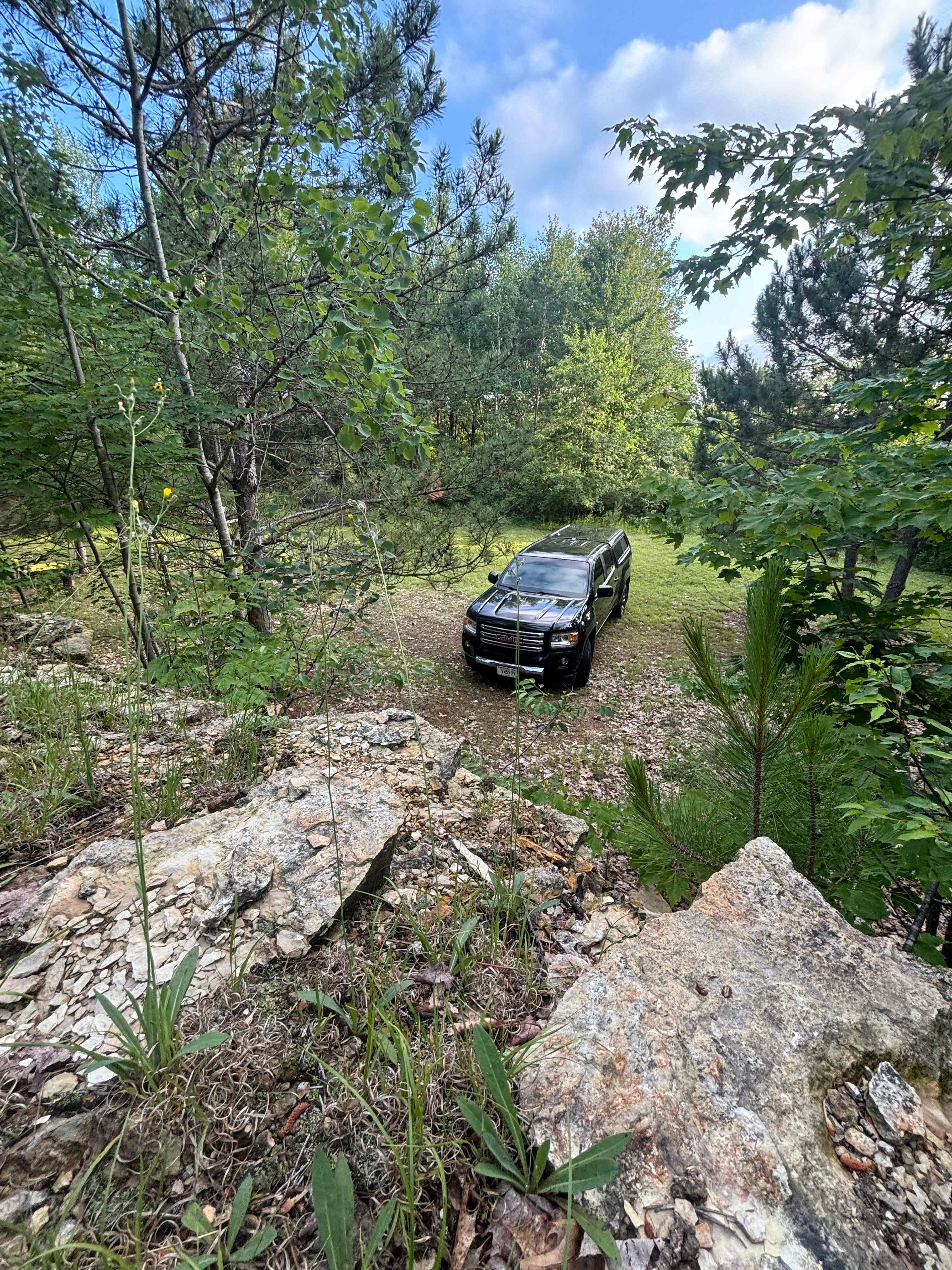 Meteor Ridge Forest