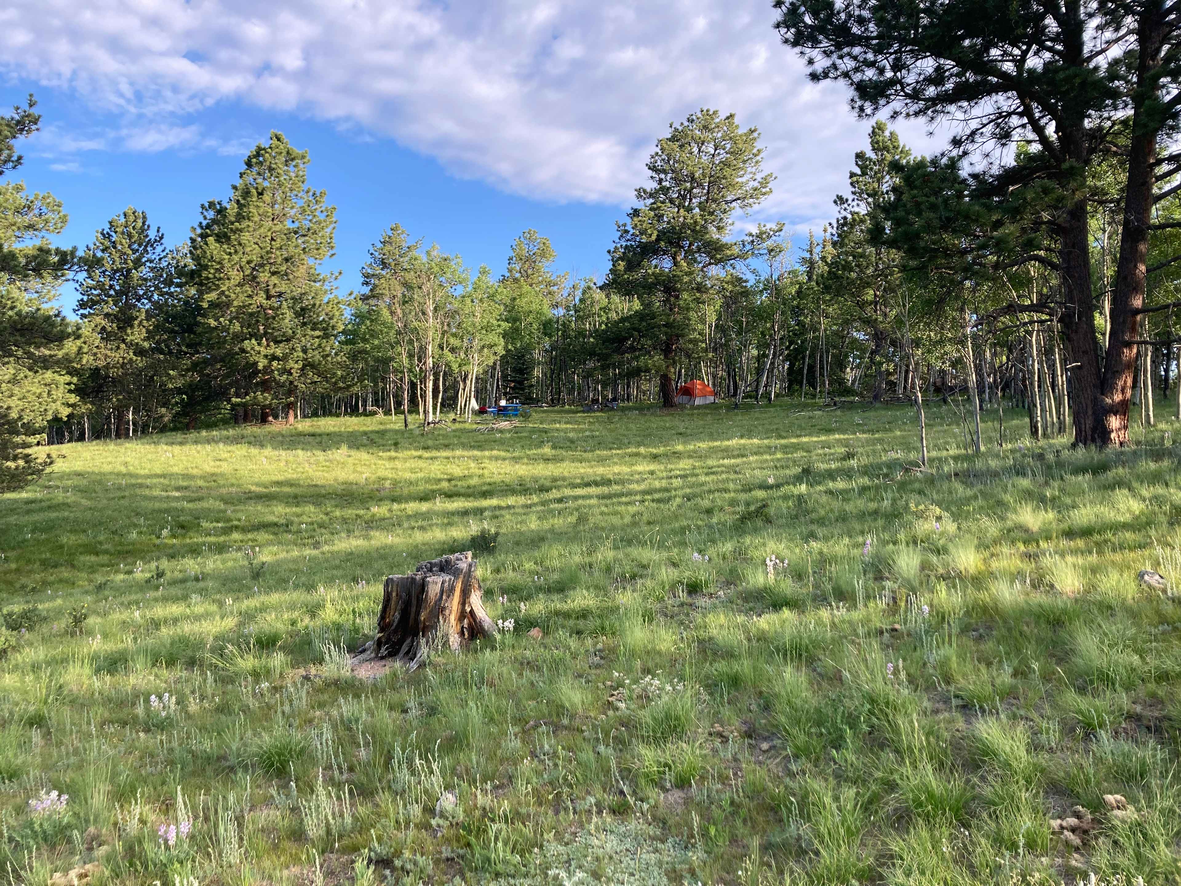 Aspen Valley Campground