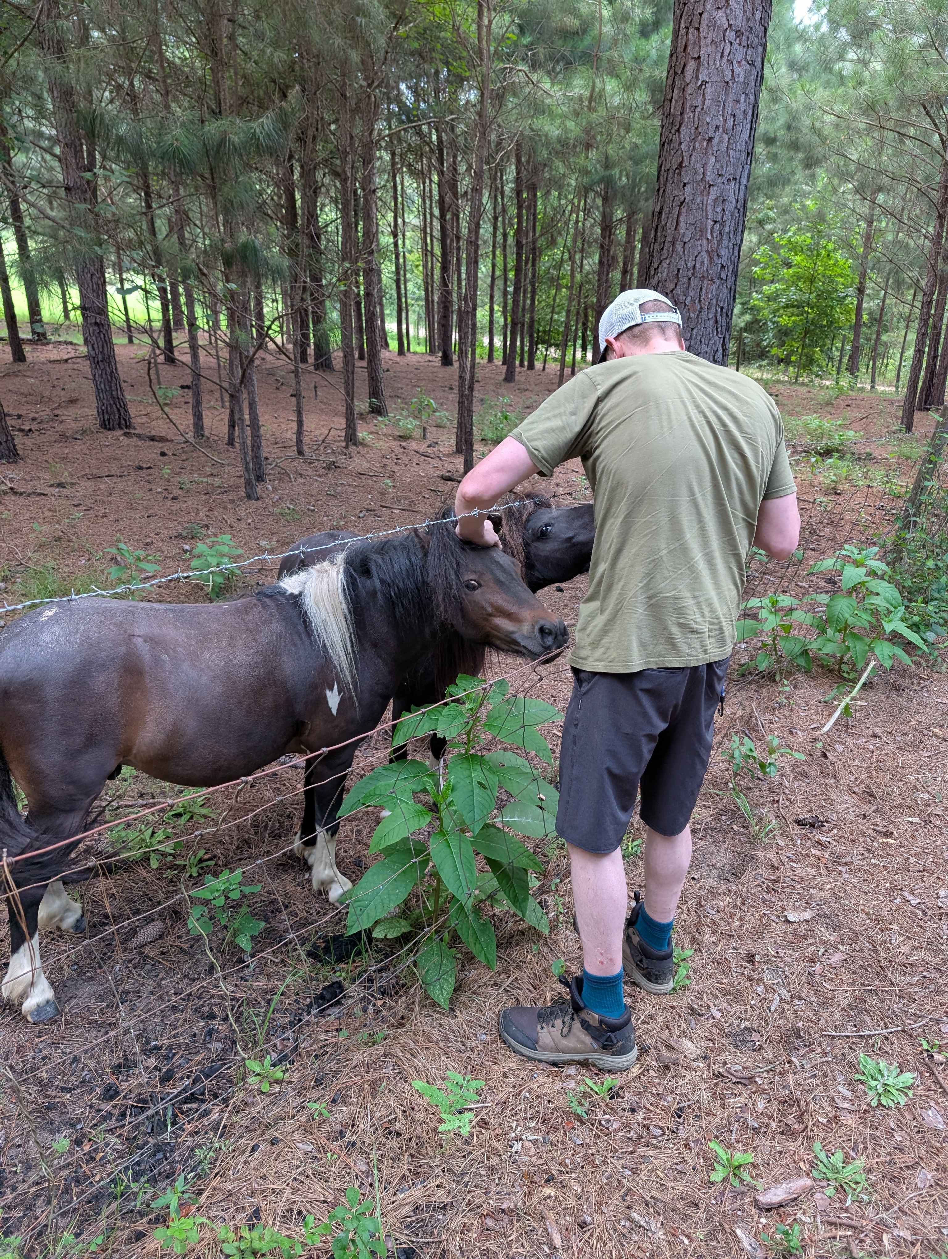 Piney Hills Campground