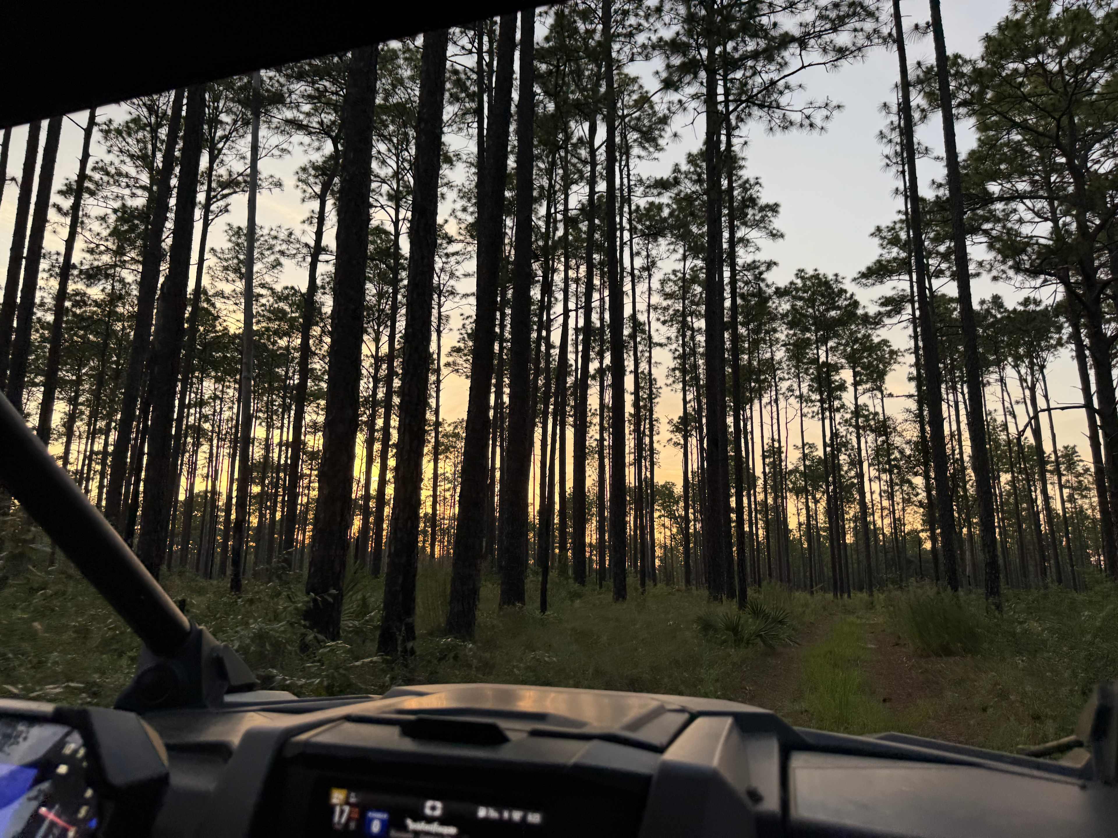 Ocala GranD Bluff View
