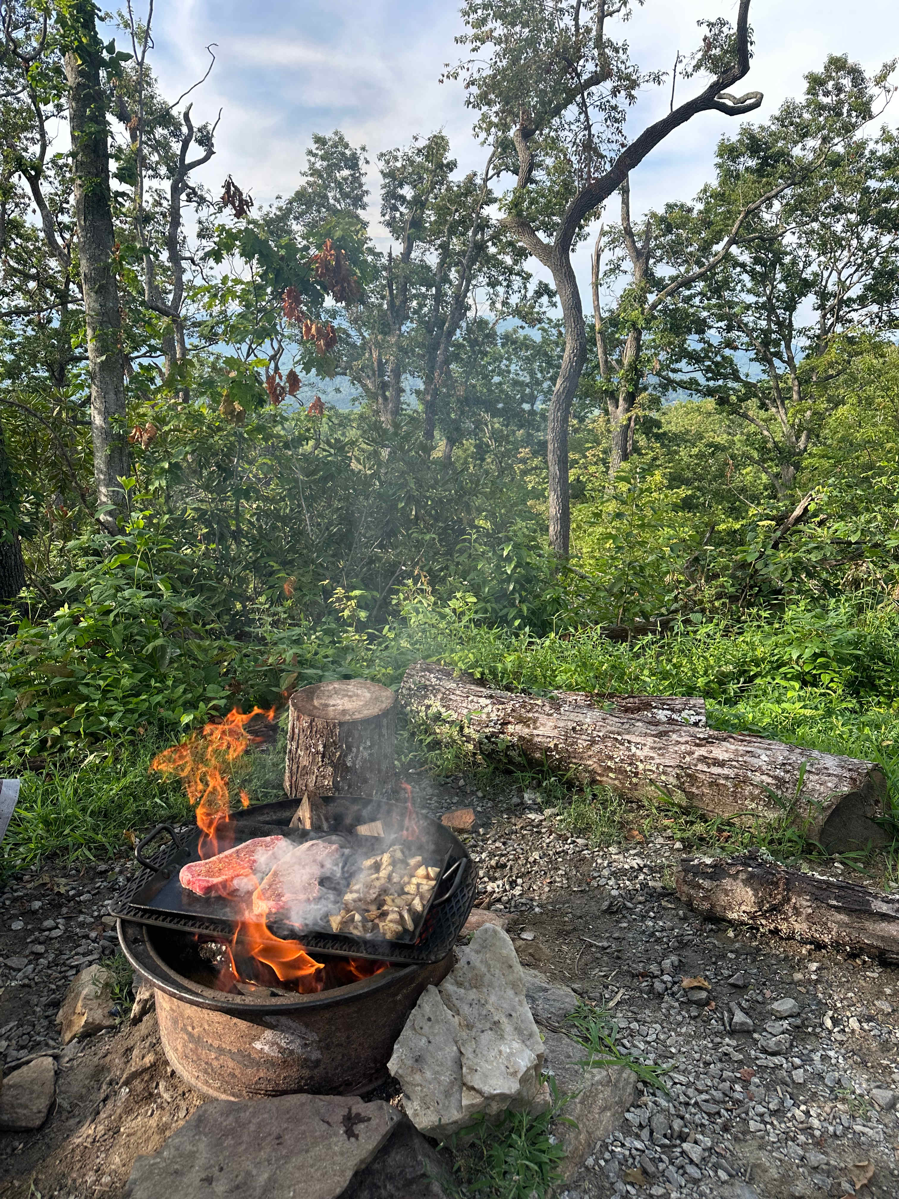 Barnhill Mountain in Fletcher, NC