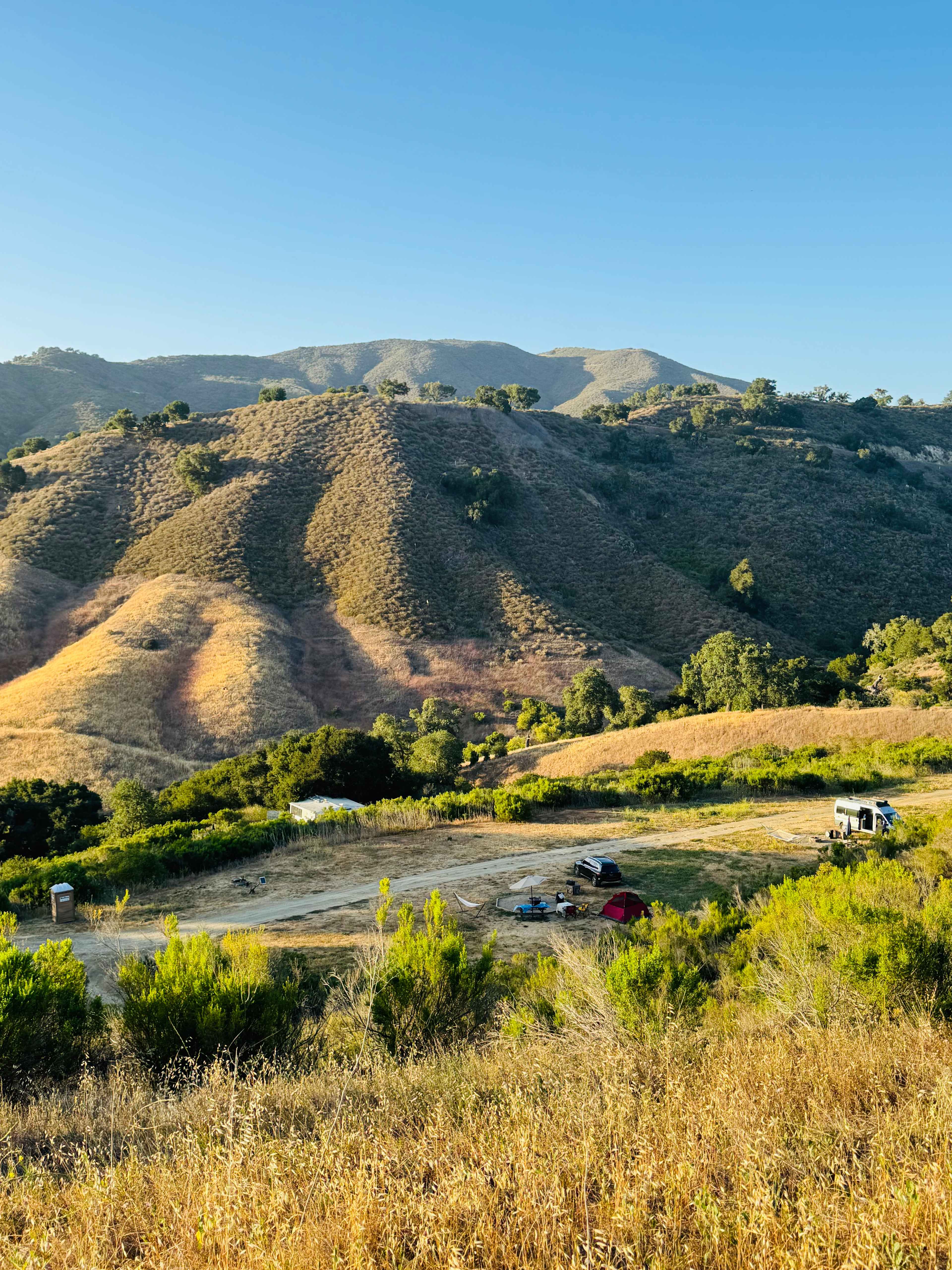 Freedog Farms @ Cactus Flower Ranch