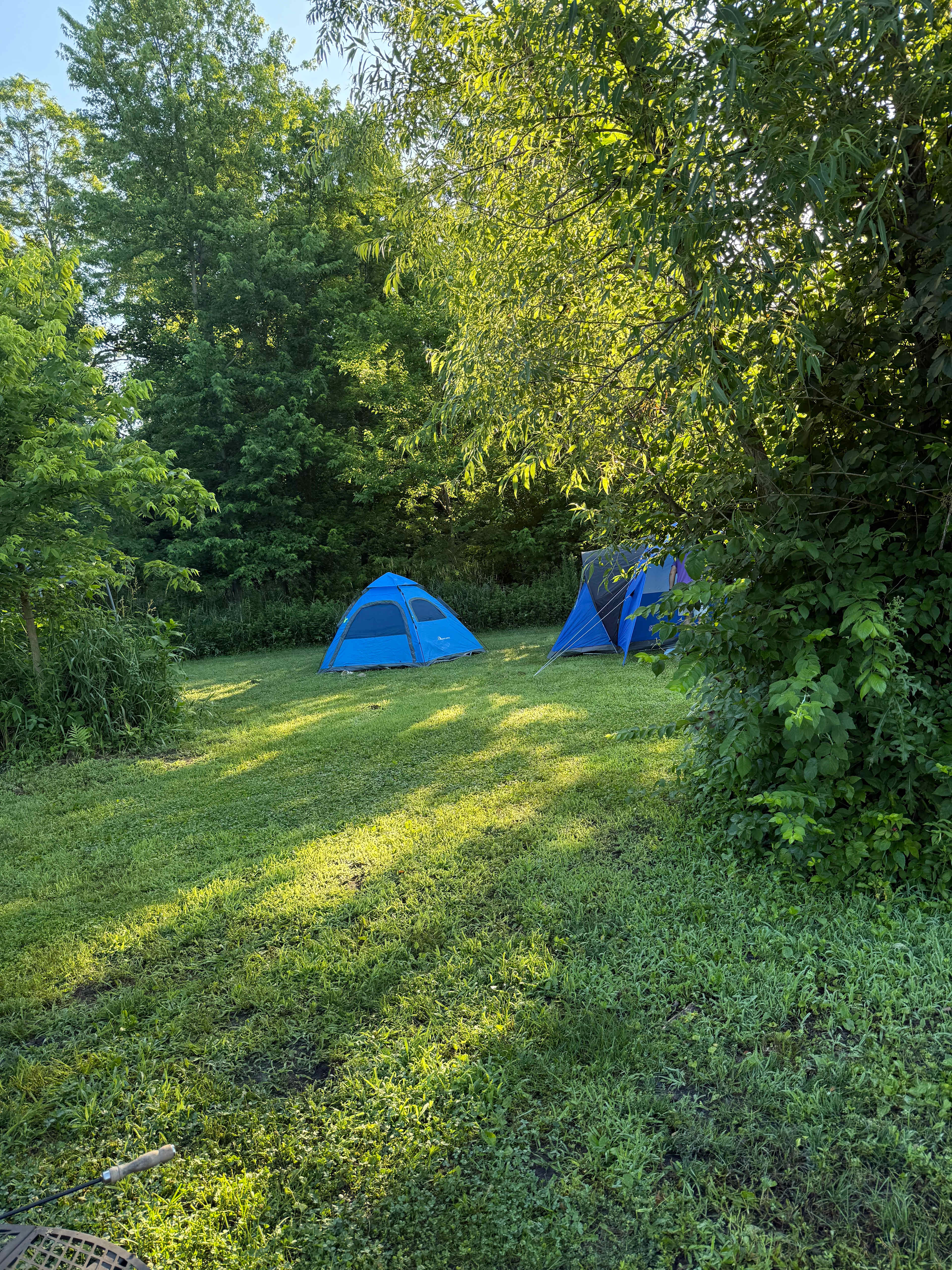 We were able to set up our tents at the back of the site for plenty of privacy. We still had room for two tables, canopies, and two vehicles with green space to spare! 