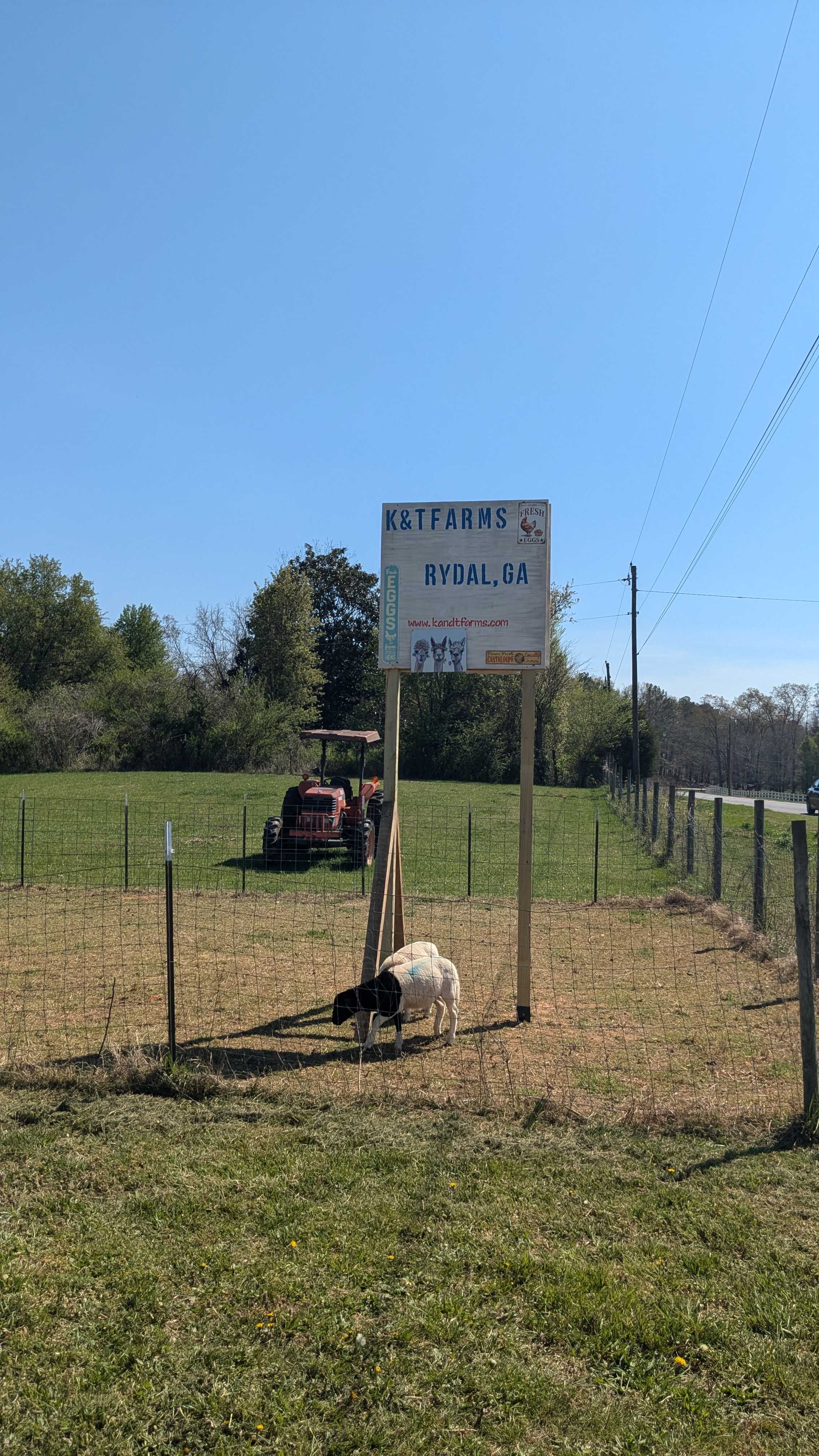 K And T Farms