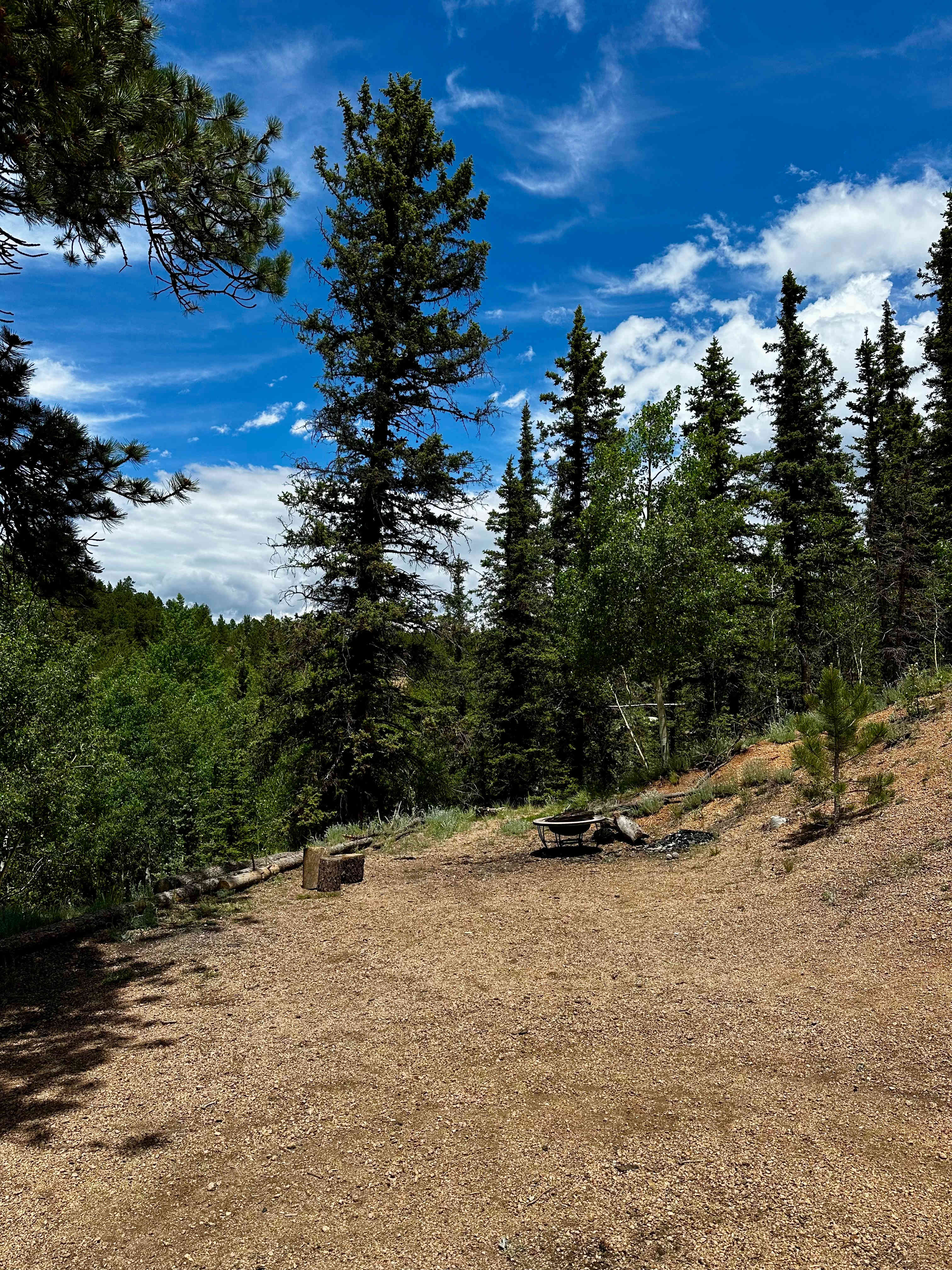 Full Lakeview site . Fire pit and tent location 