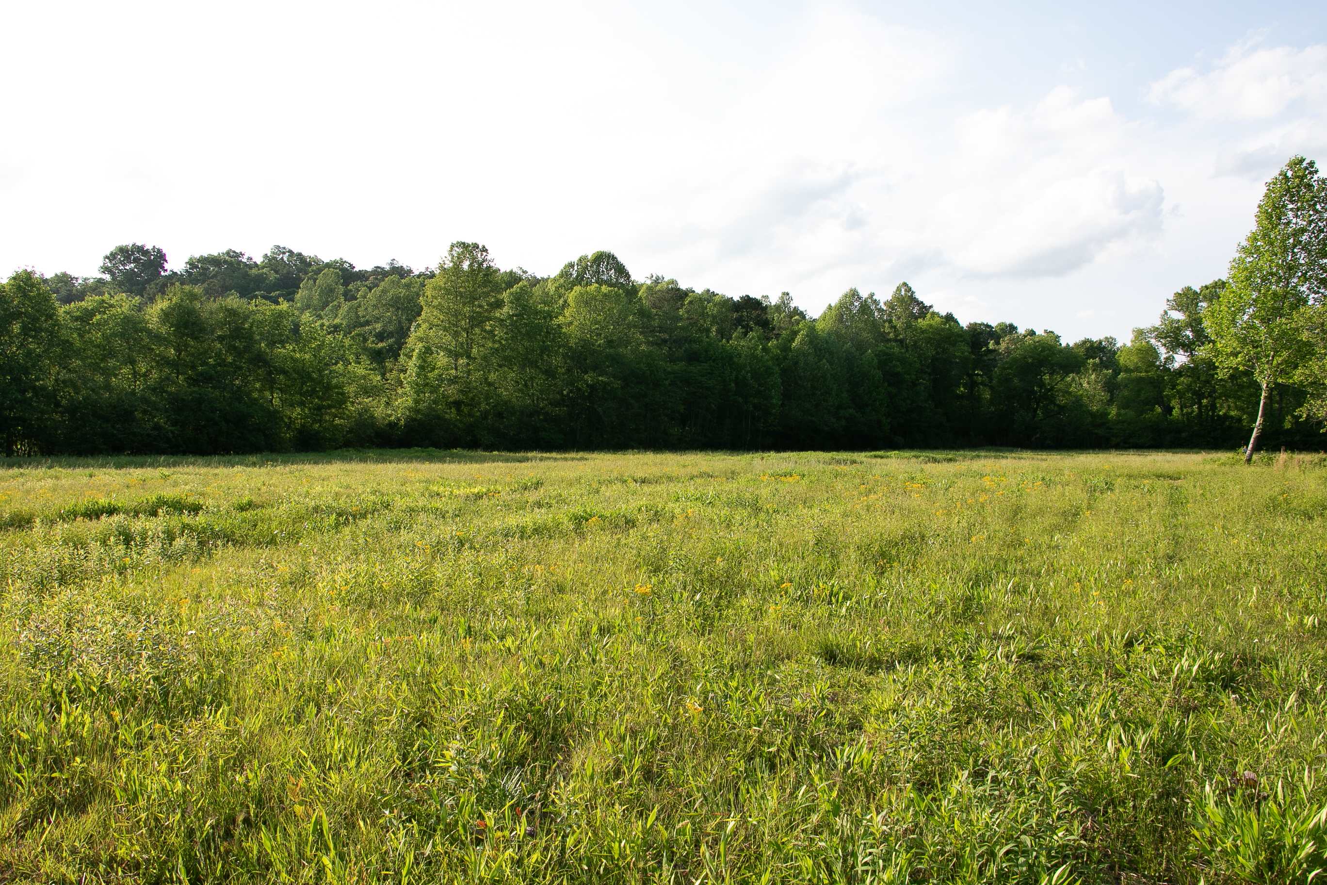 Rest And Relax Retreat