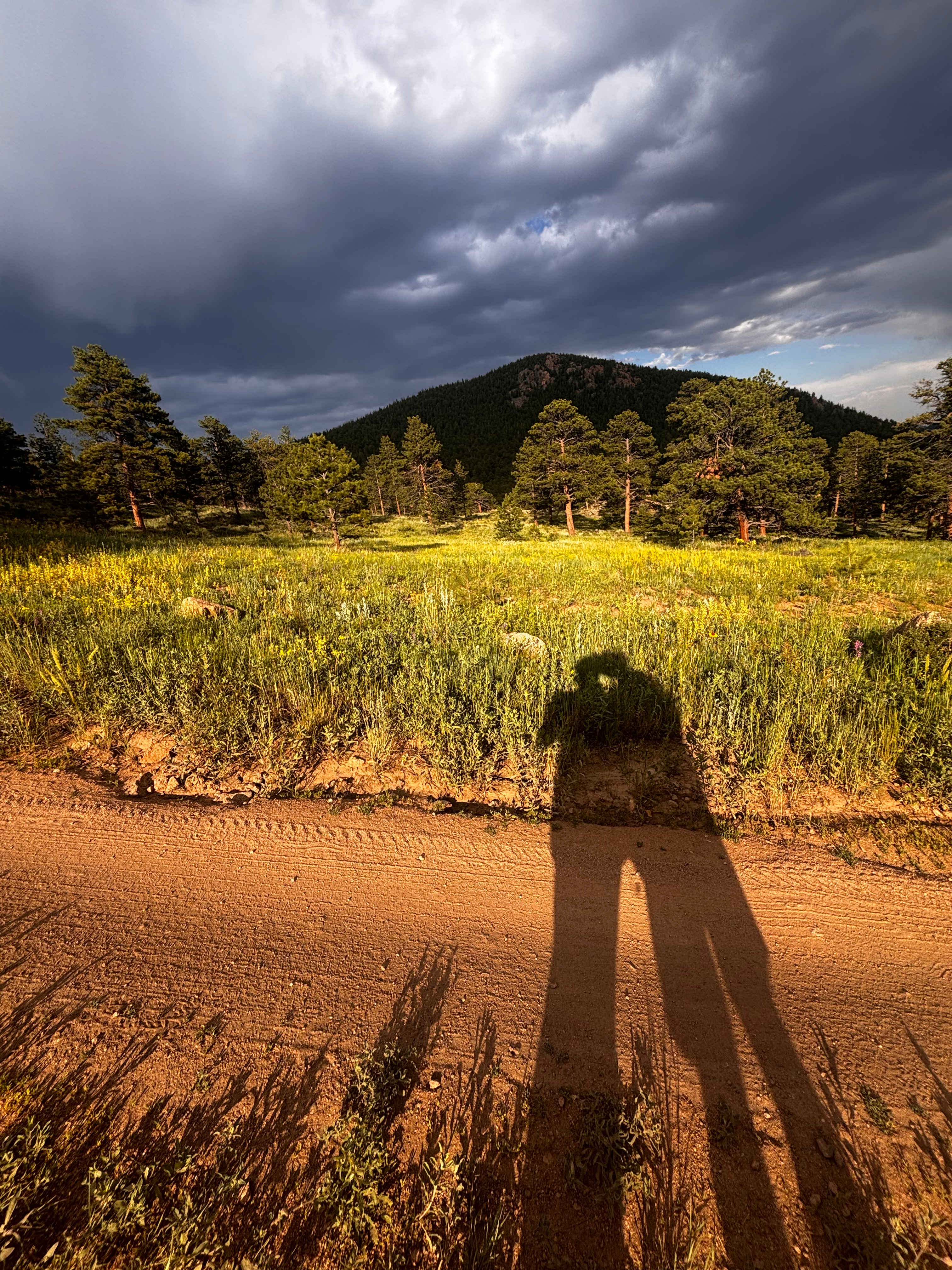 Rocky Mountain Glamping