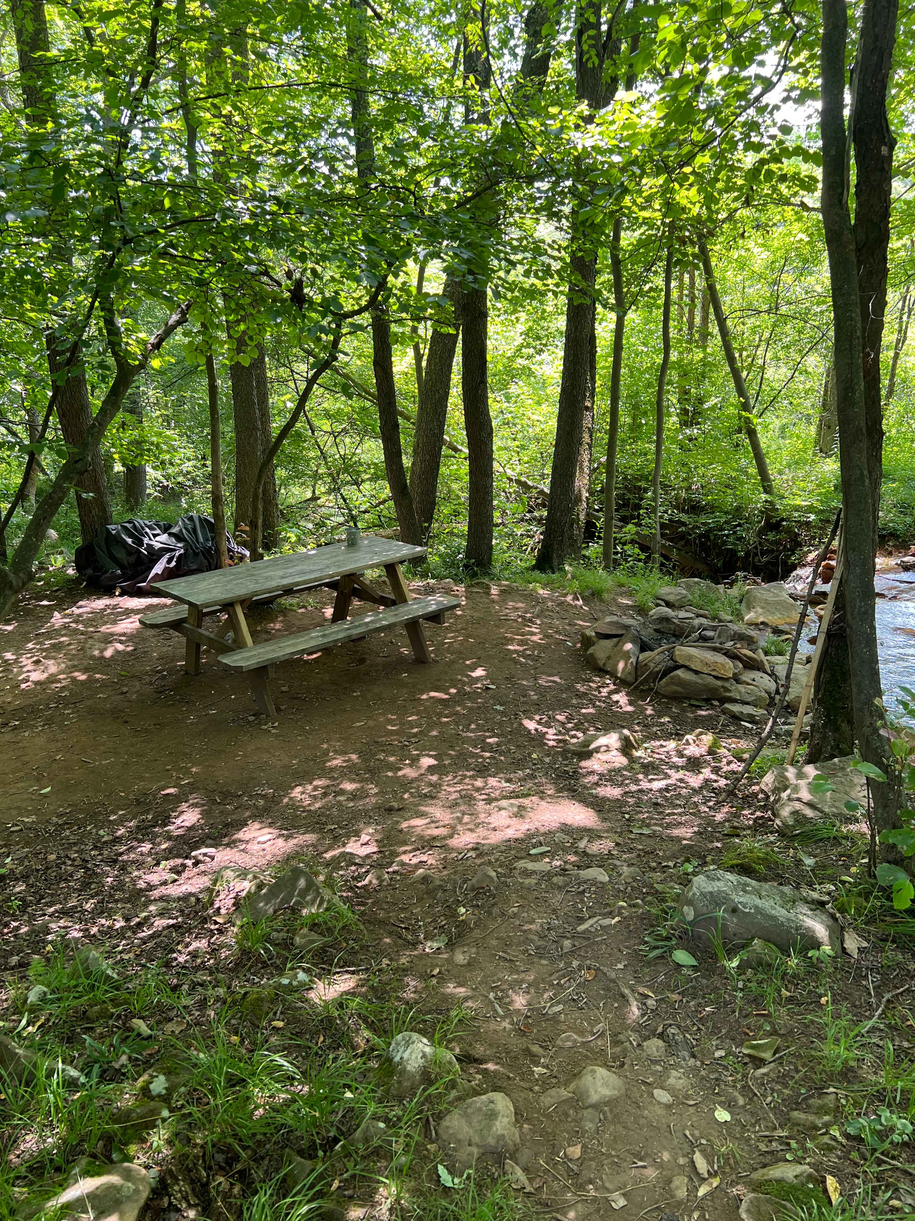 Bear Run Farms