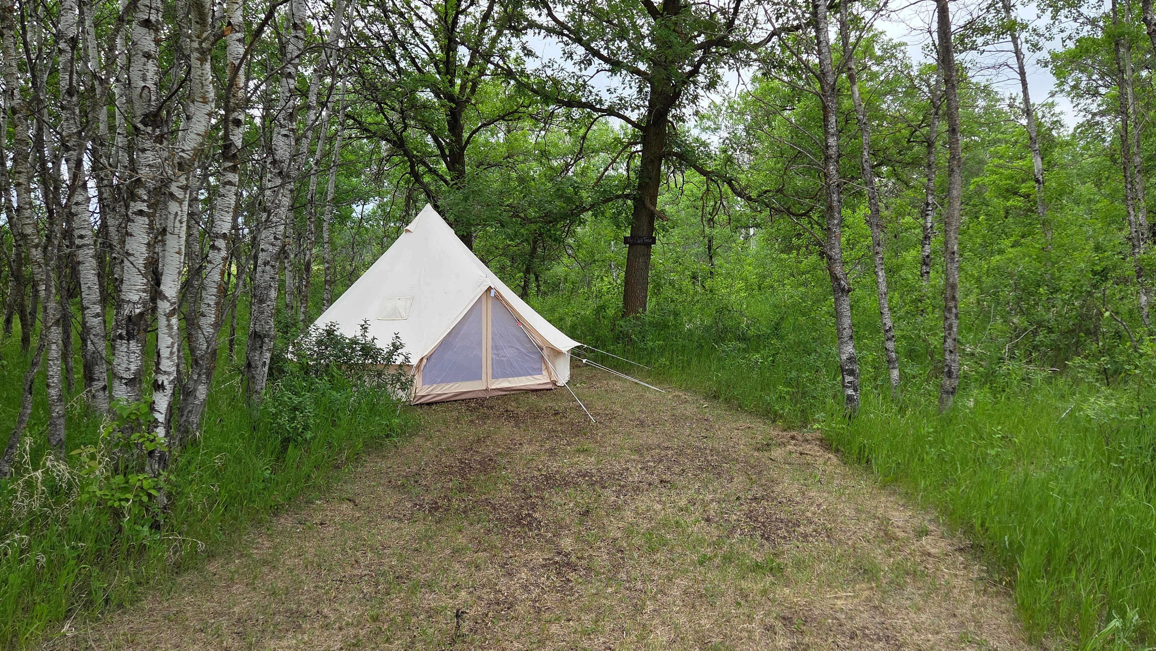 Woodland Hideaway