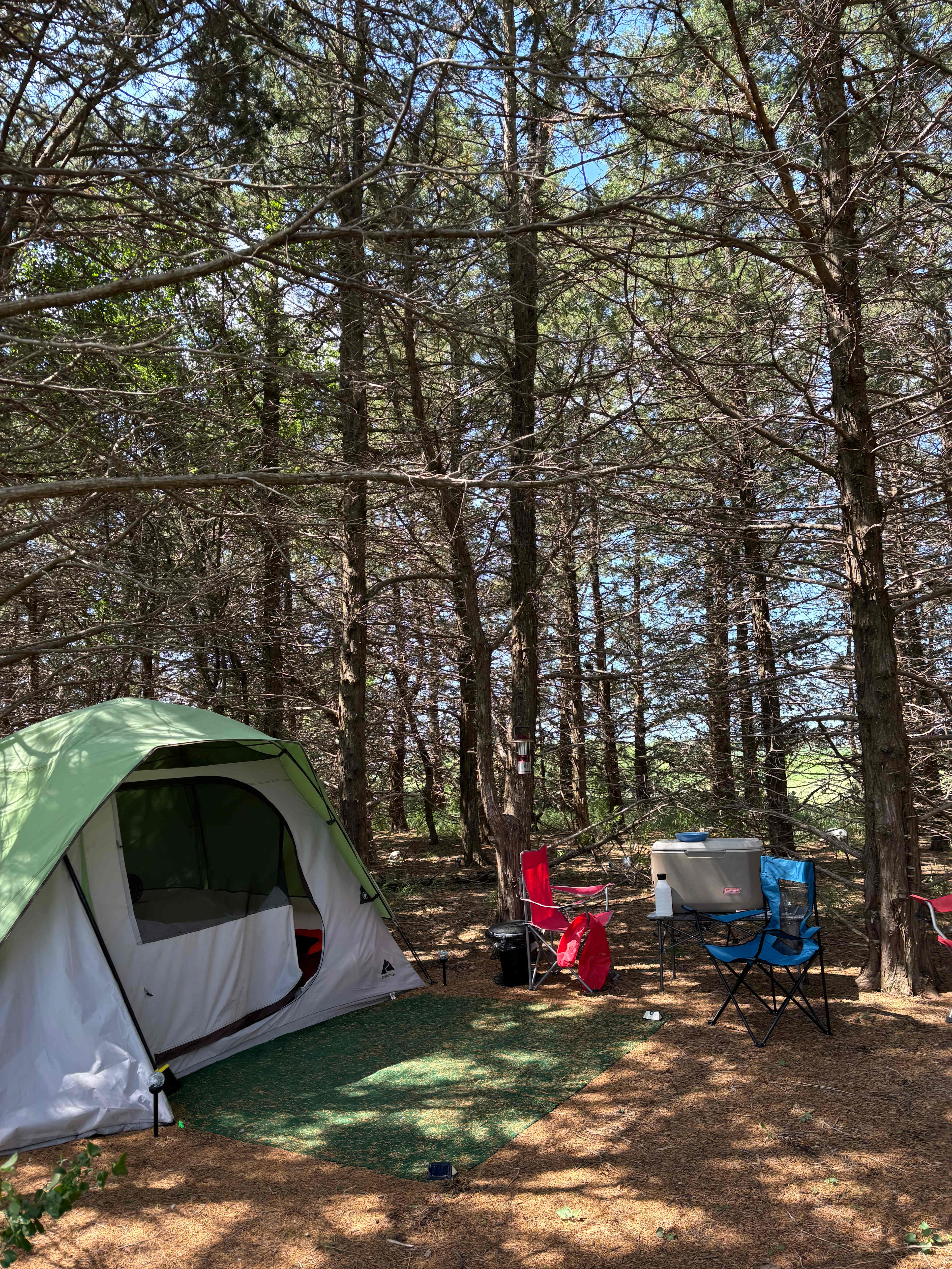 Perfect spot for a tent.