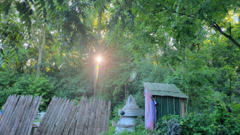 Sunset from the fire. 