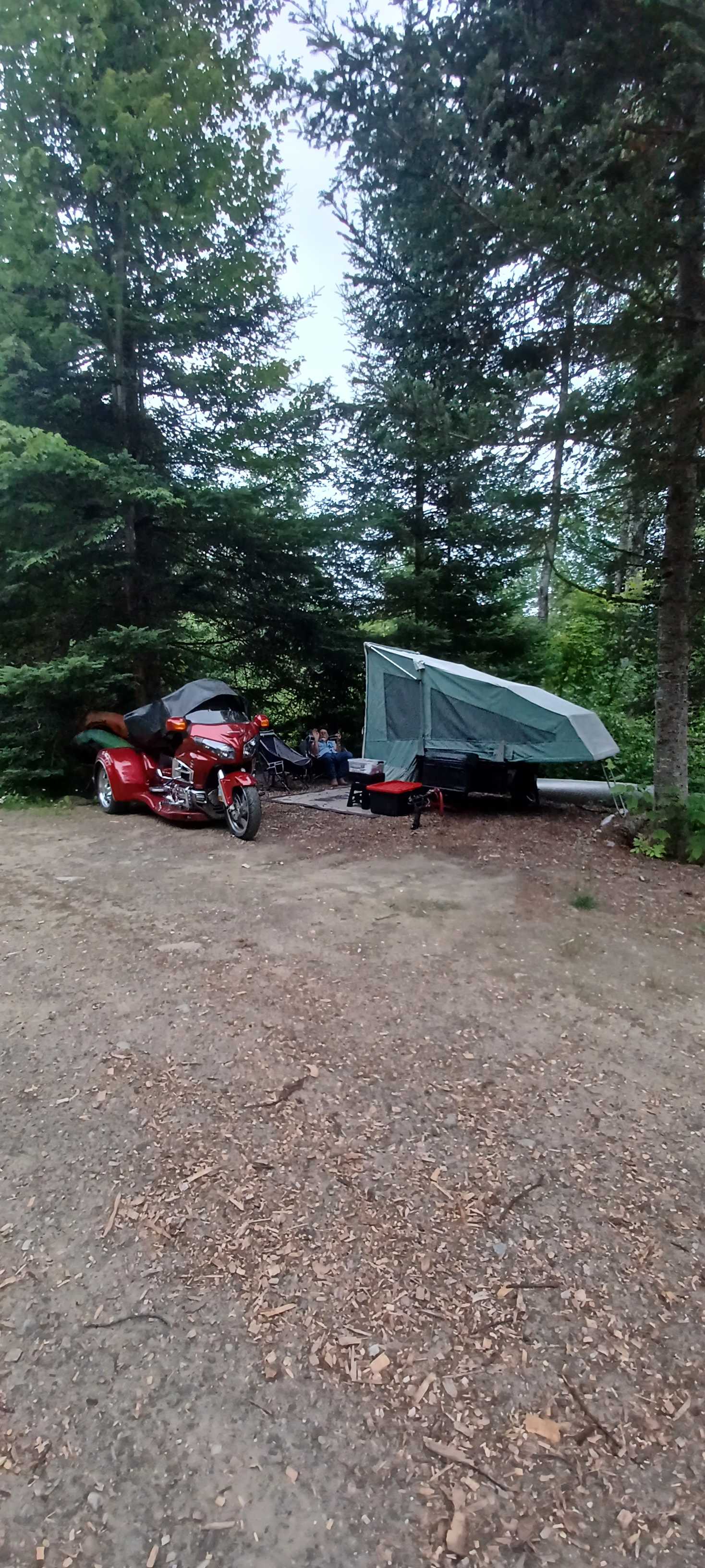 The Spruce Campsite 