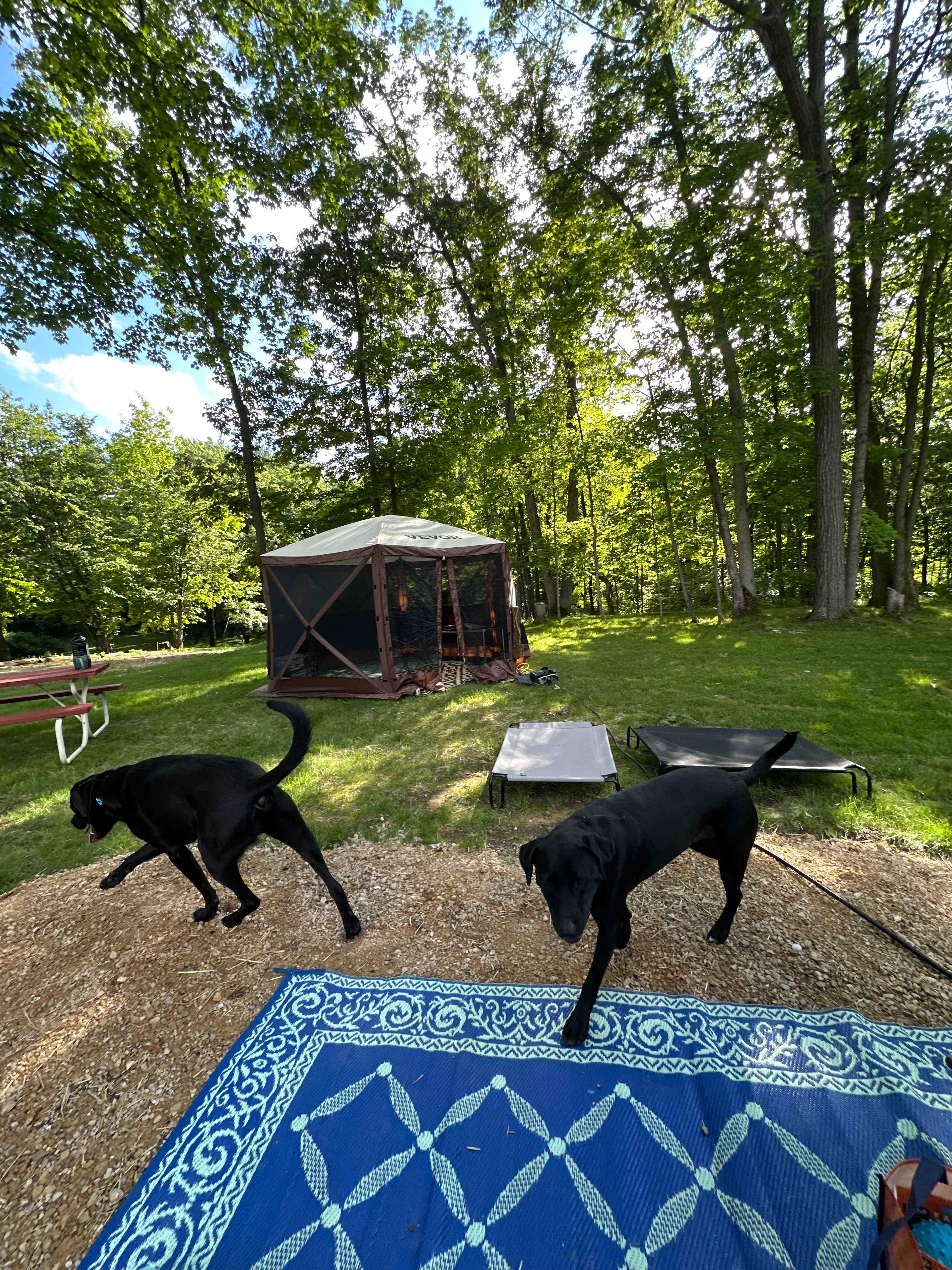WHY Camp Worth Healing Yourself