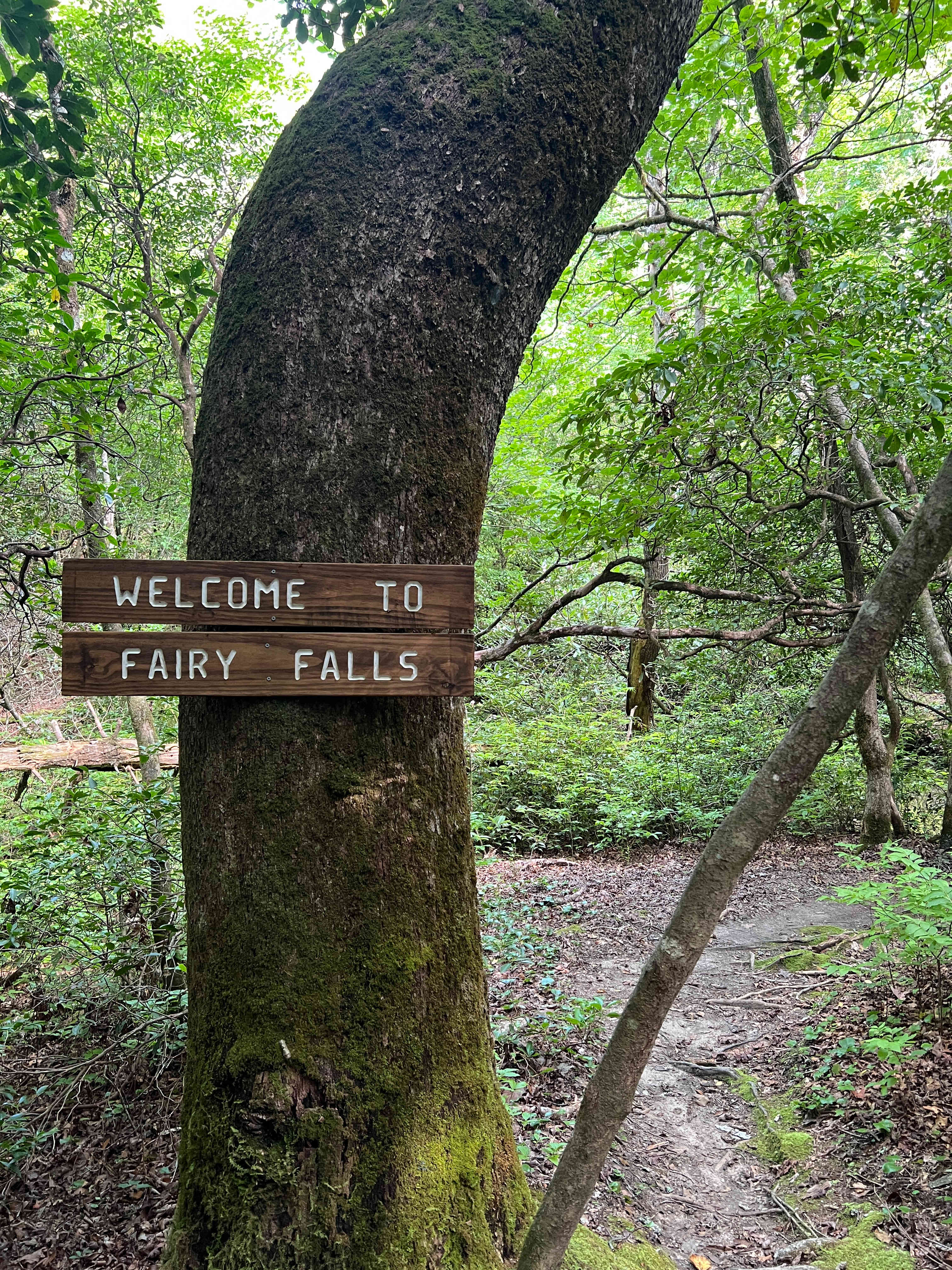 Fairy Falls section of the nature trails