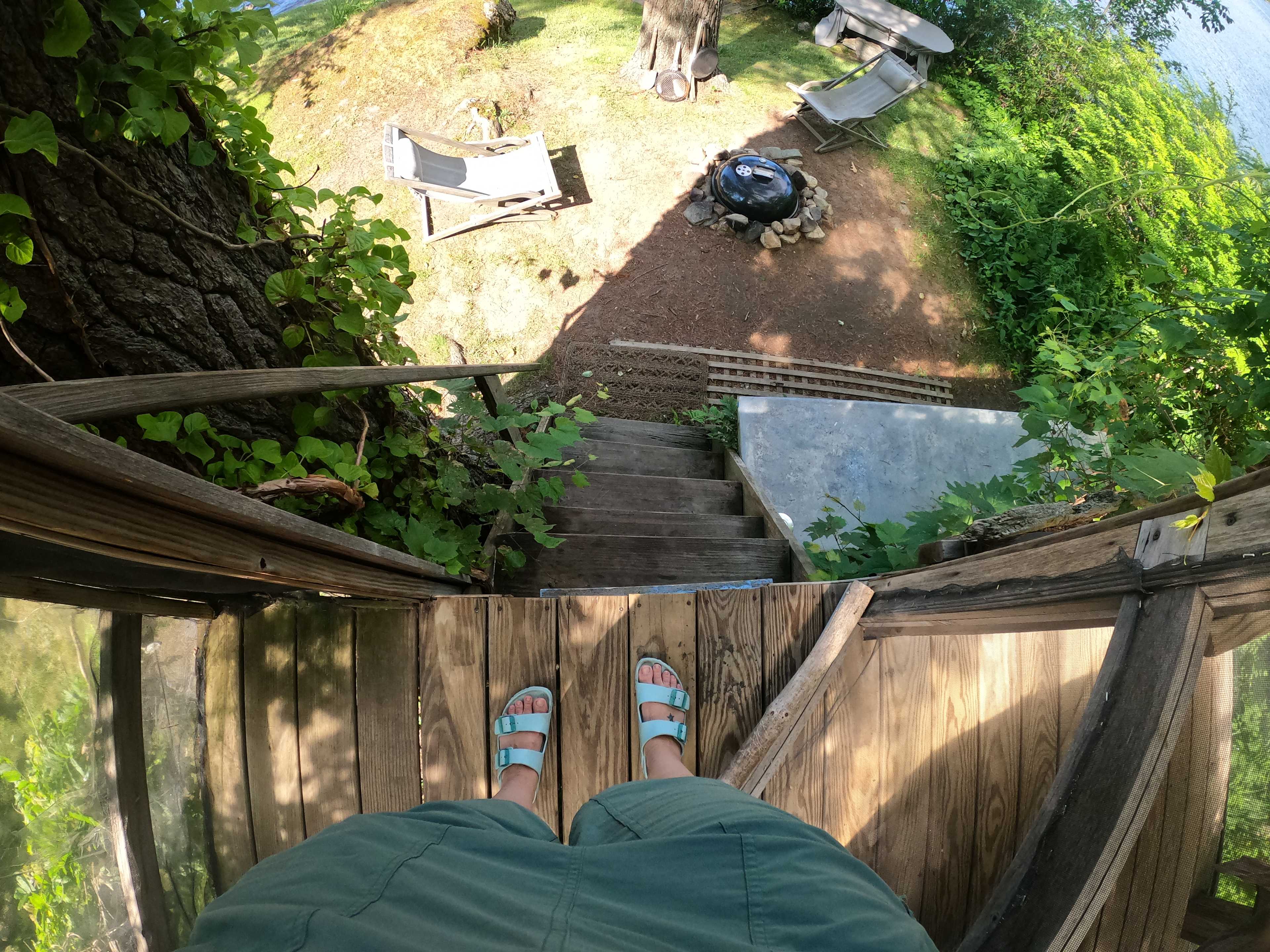 Quentins Treehouse