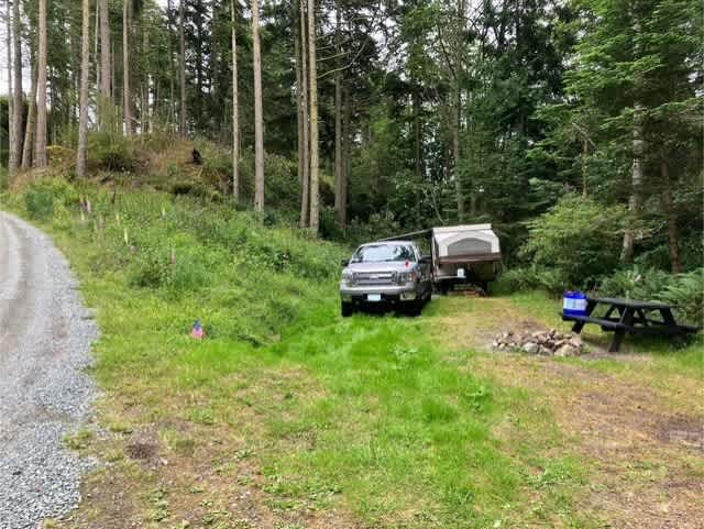 Campsite #11