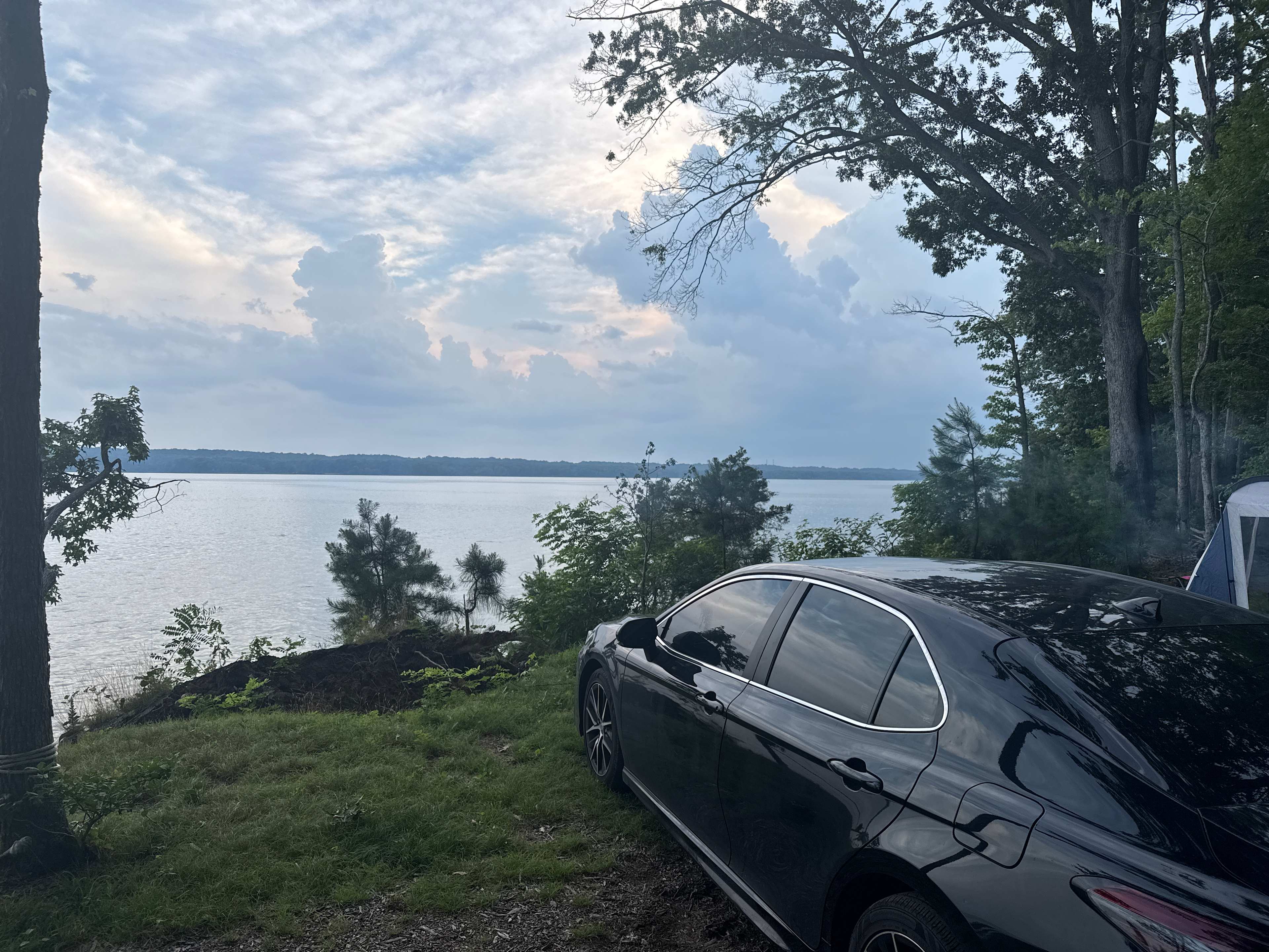 Breezy View