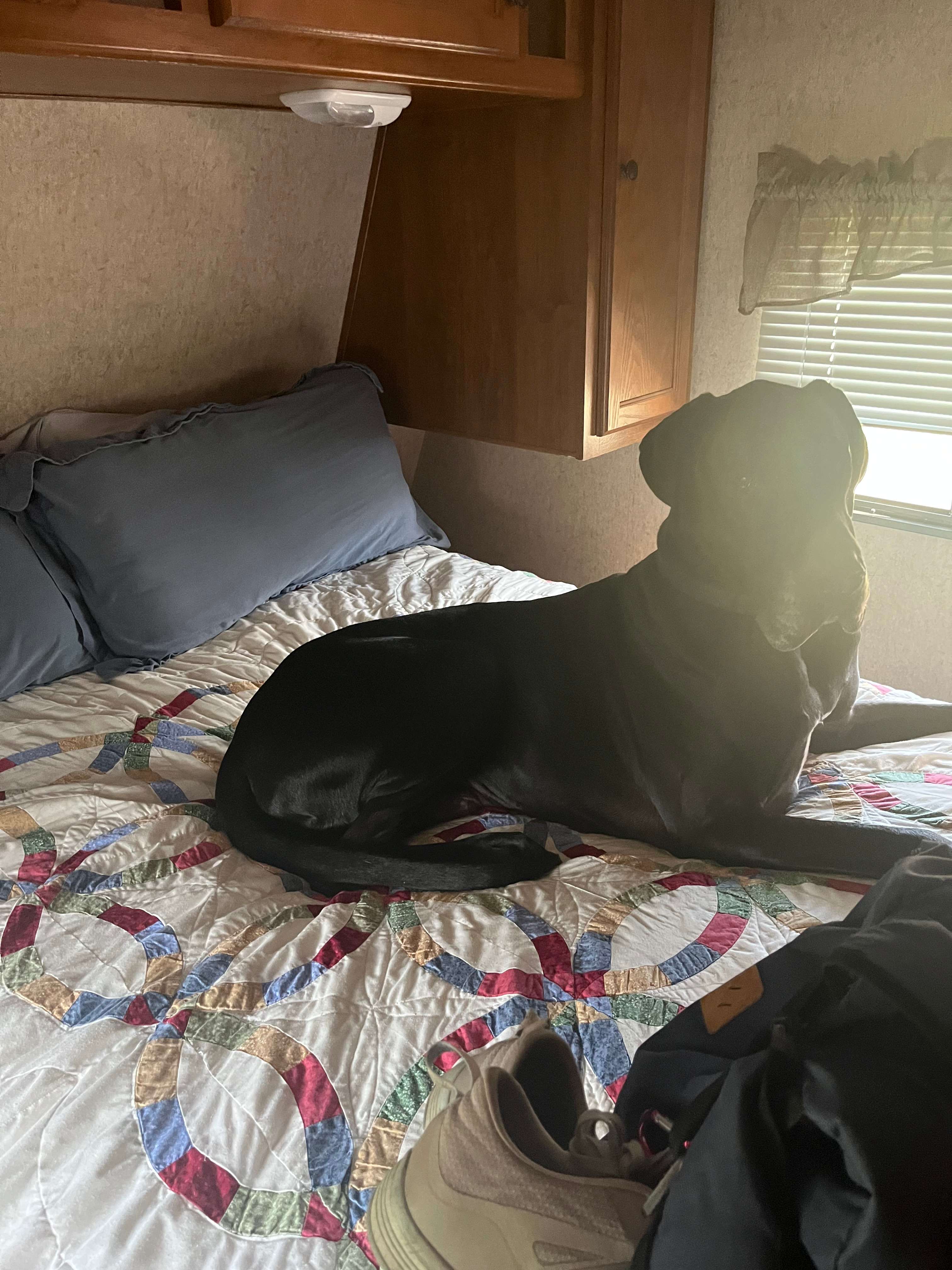 Main bedroom. Very comfortable and enough space for two people or one person and a giant dog ;) 