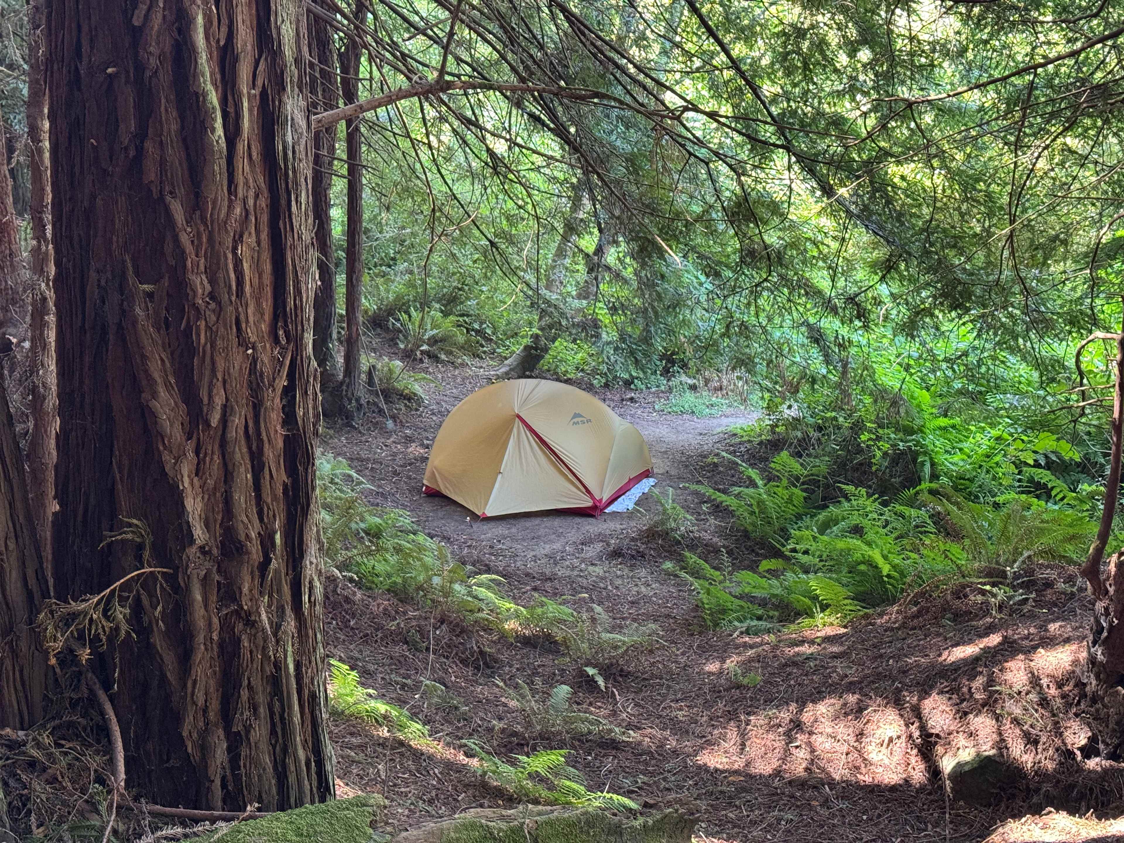 Salmon Creek Ranch