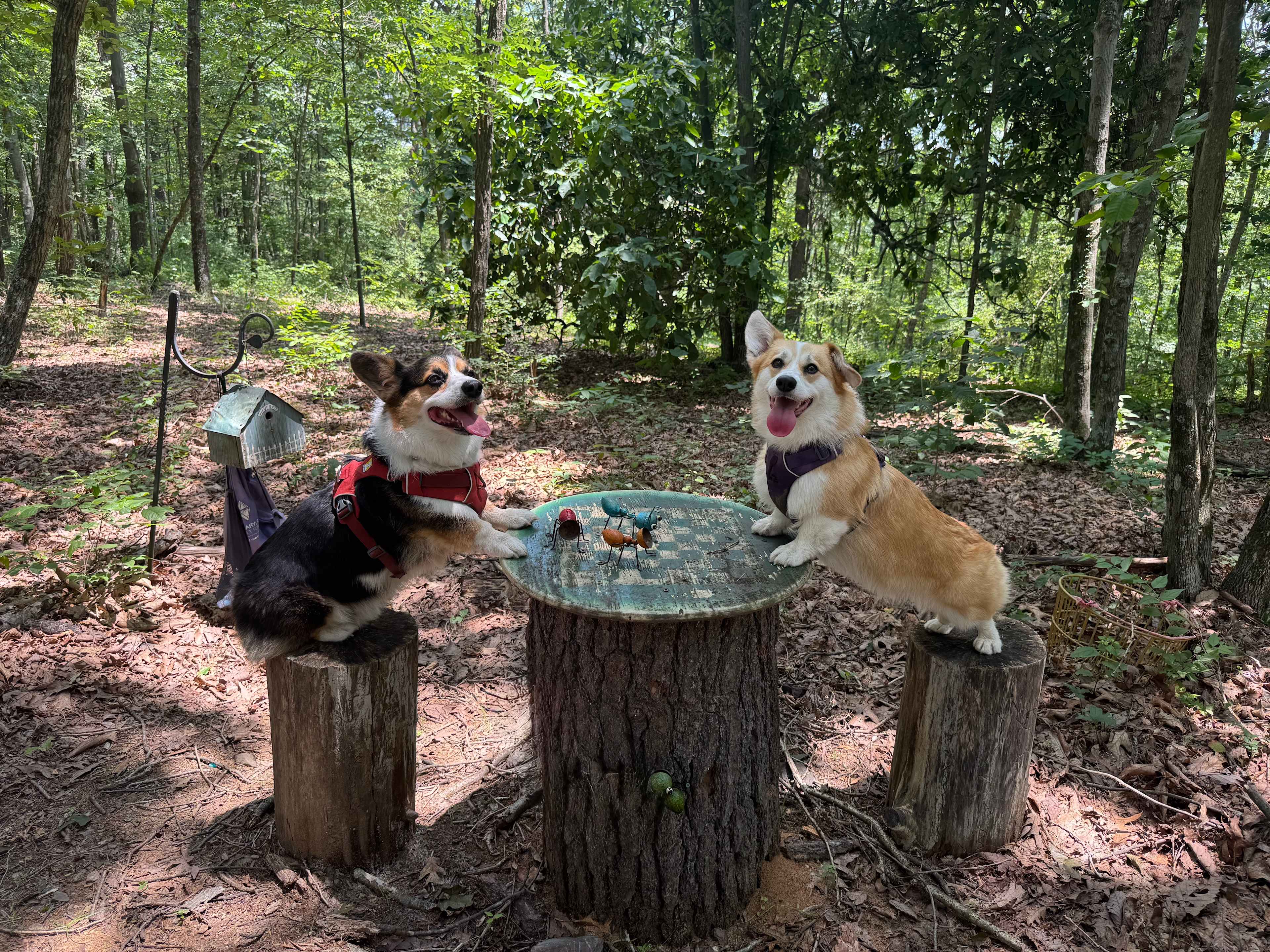 Grouseland Hospitality