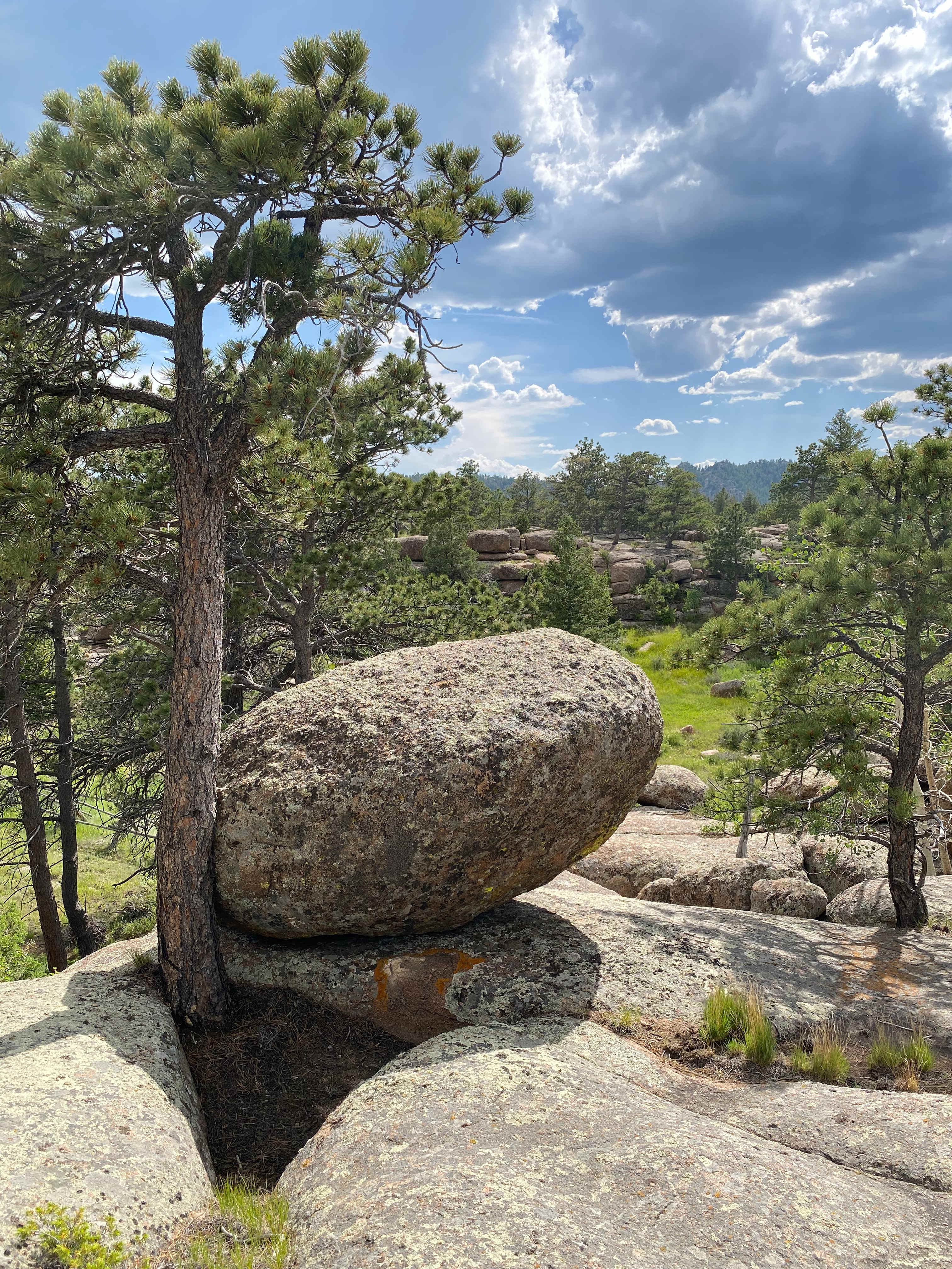 Camp Overland