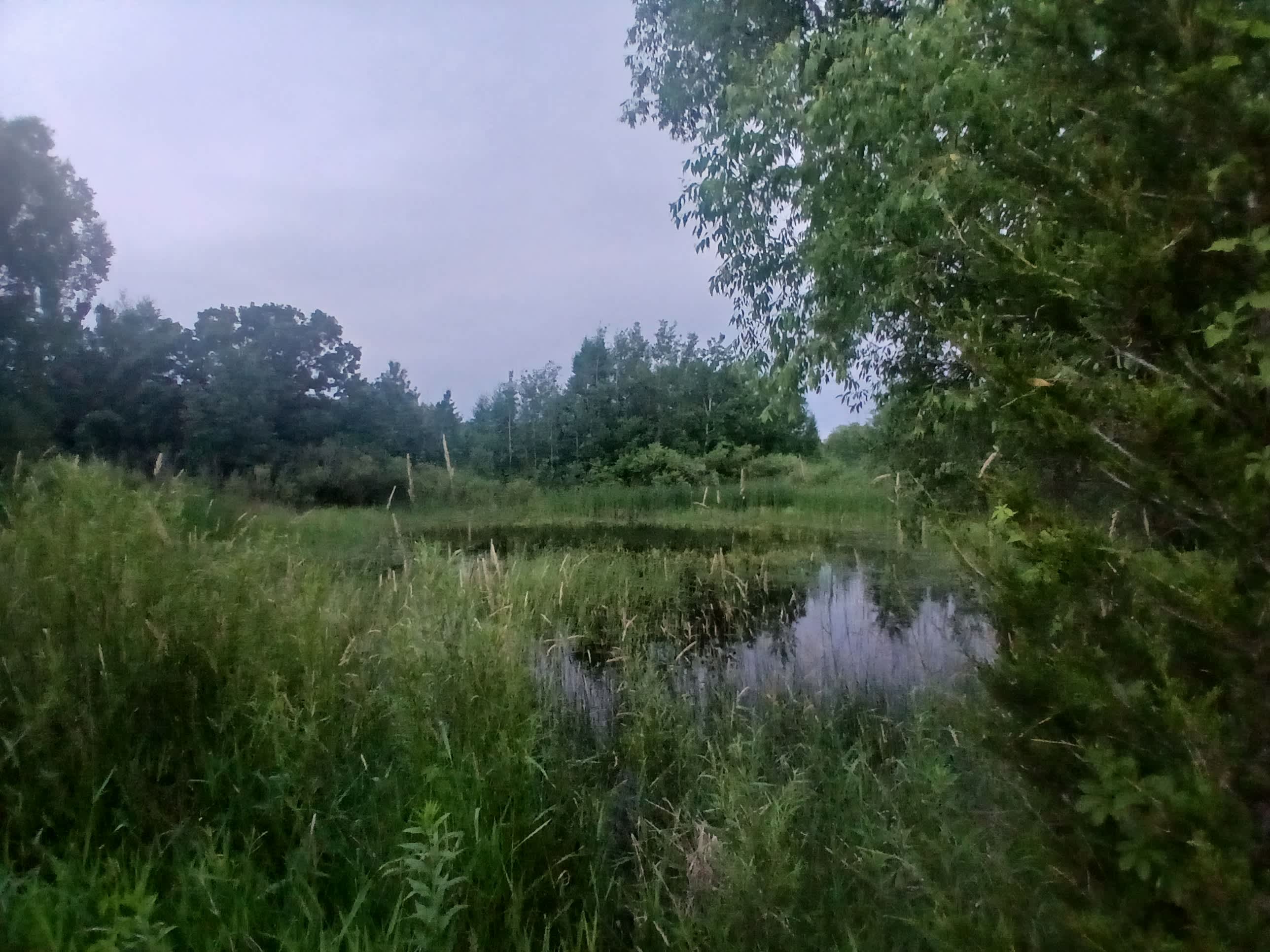 Oak Park Nature Nook