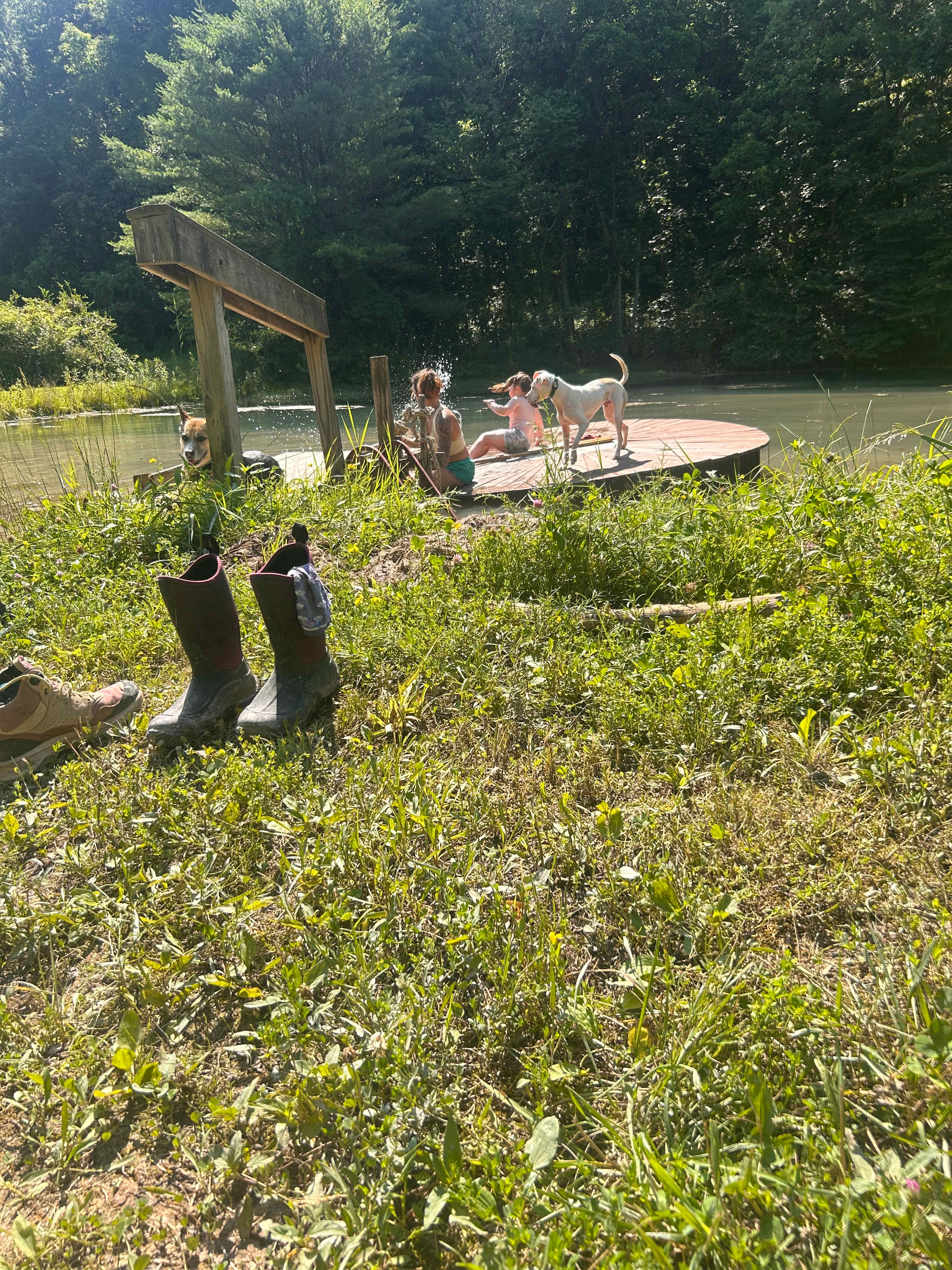 pond