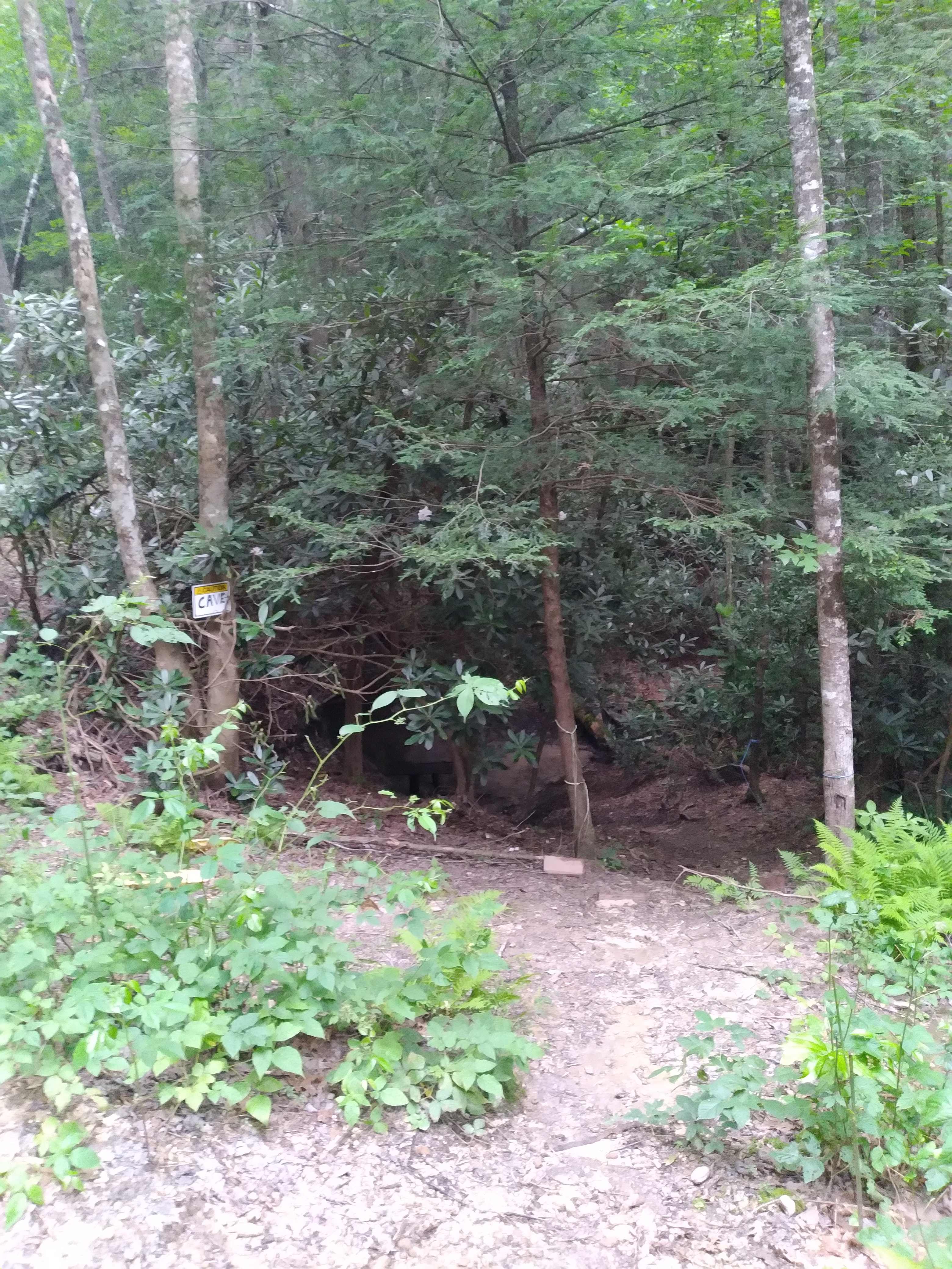 Entrance to cave