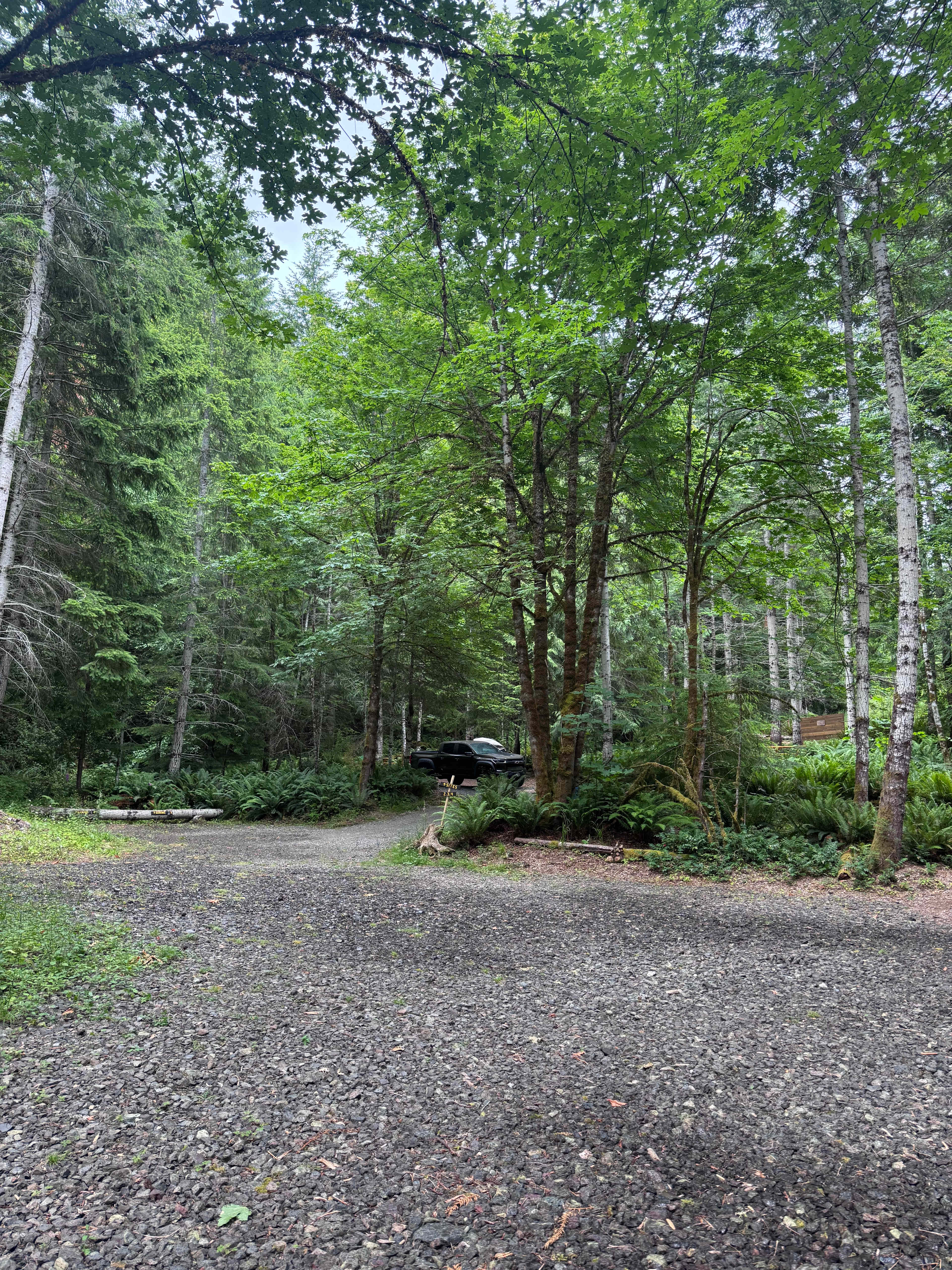 Wandering Joy Campground