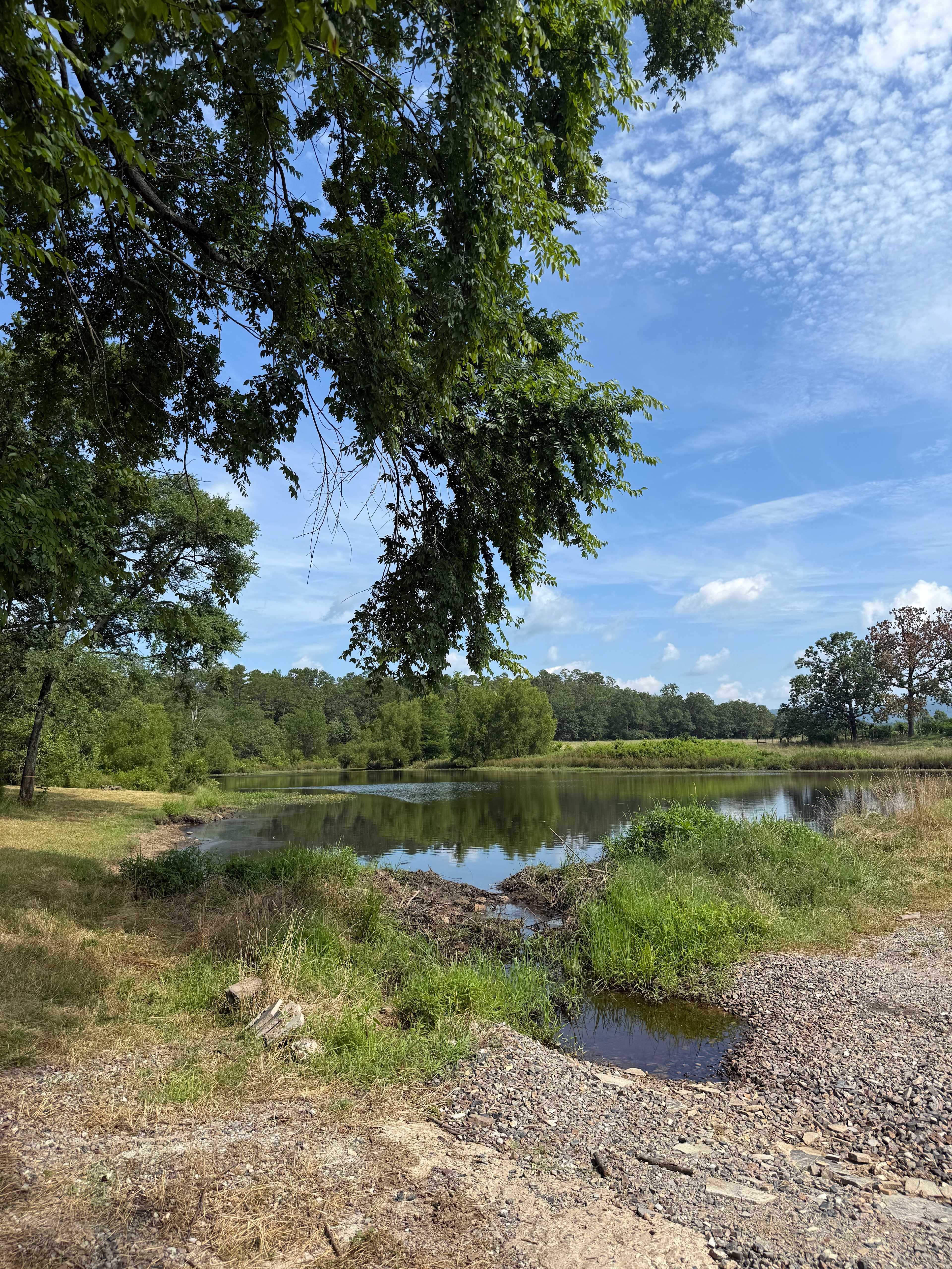 Pond, River, and Ridge Camping