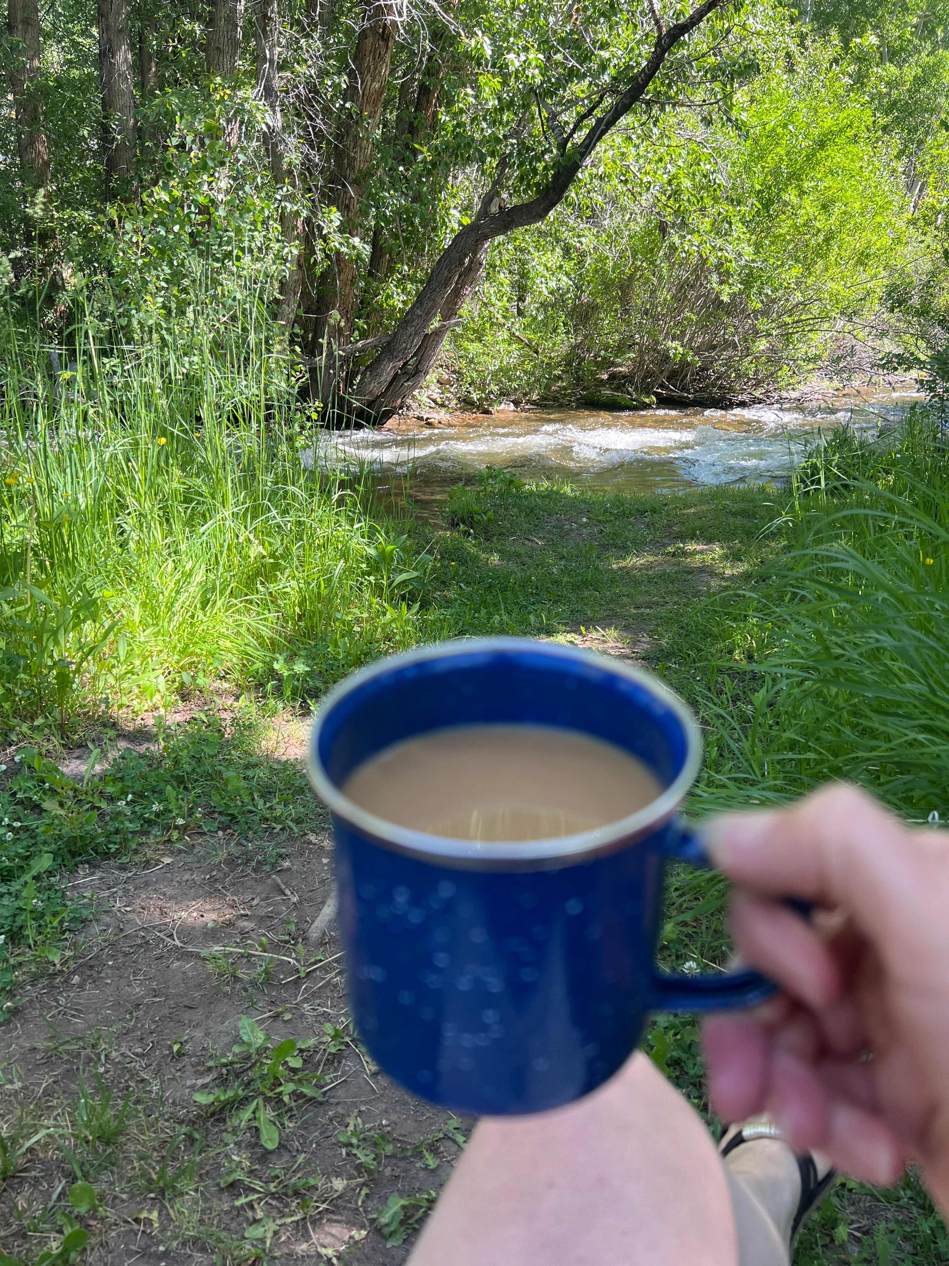 Enjoying the view from tent site 9
