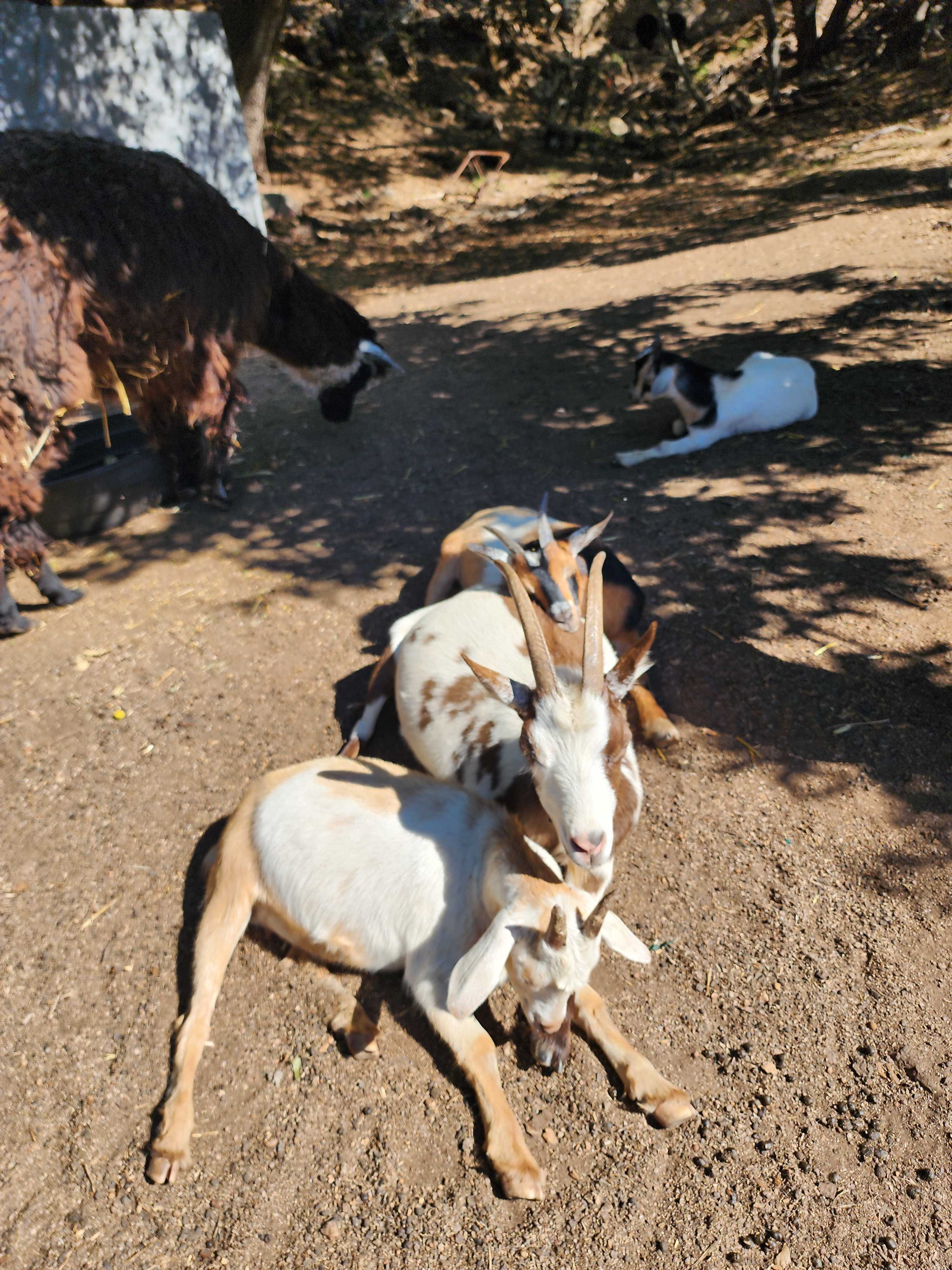 Splitrock Farm and Retreat