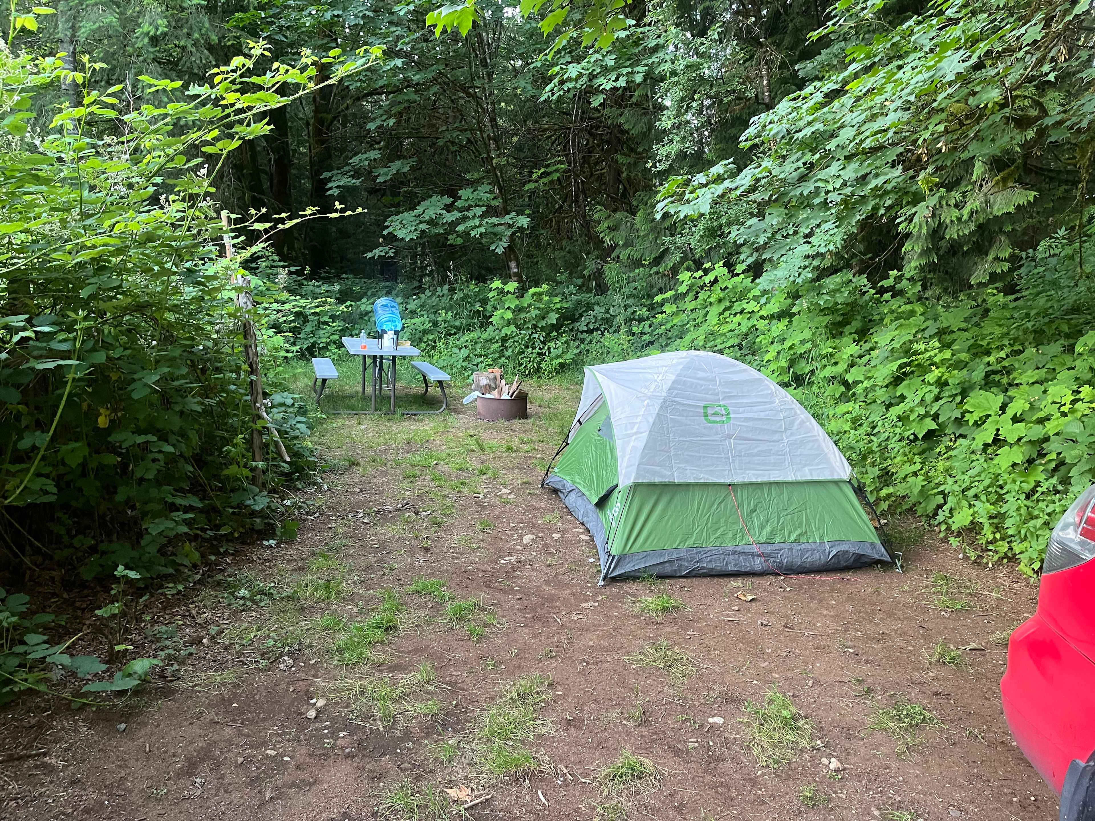 Site 6