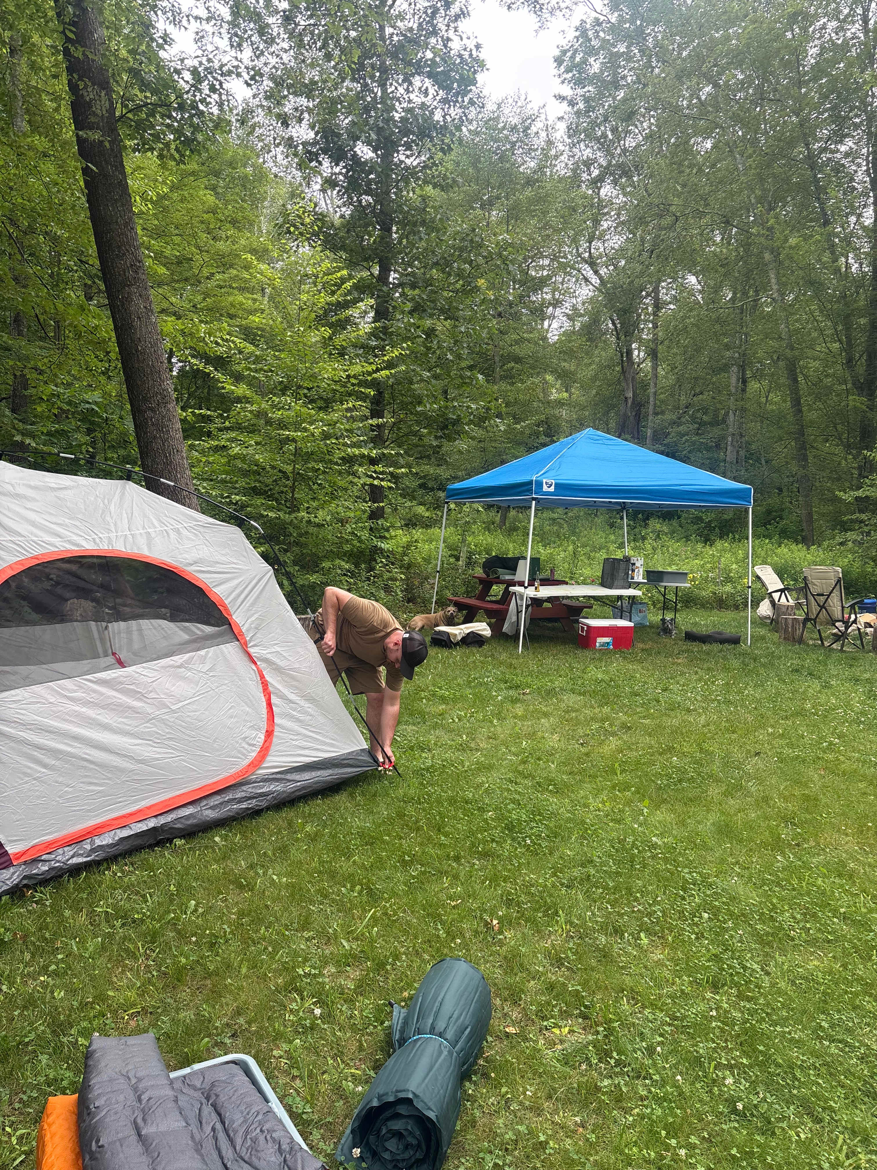 Fernwood on Alan F.’s Land
