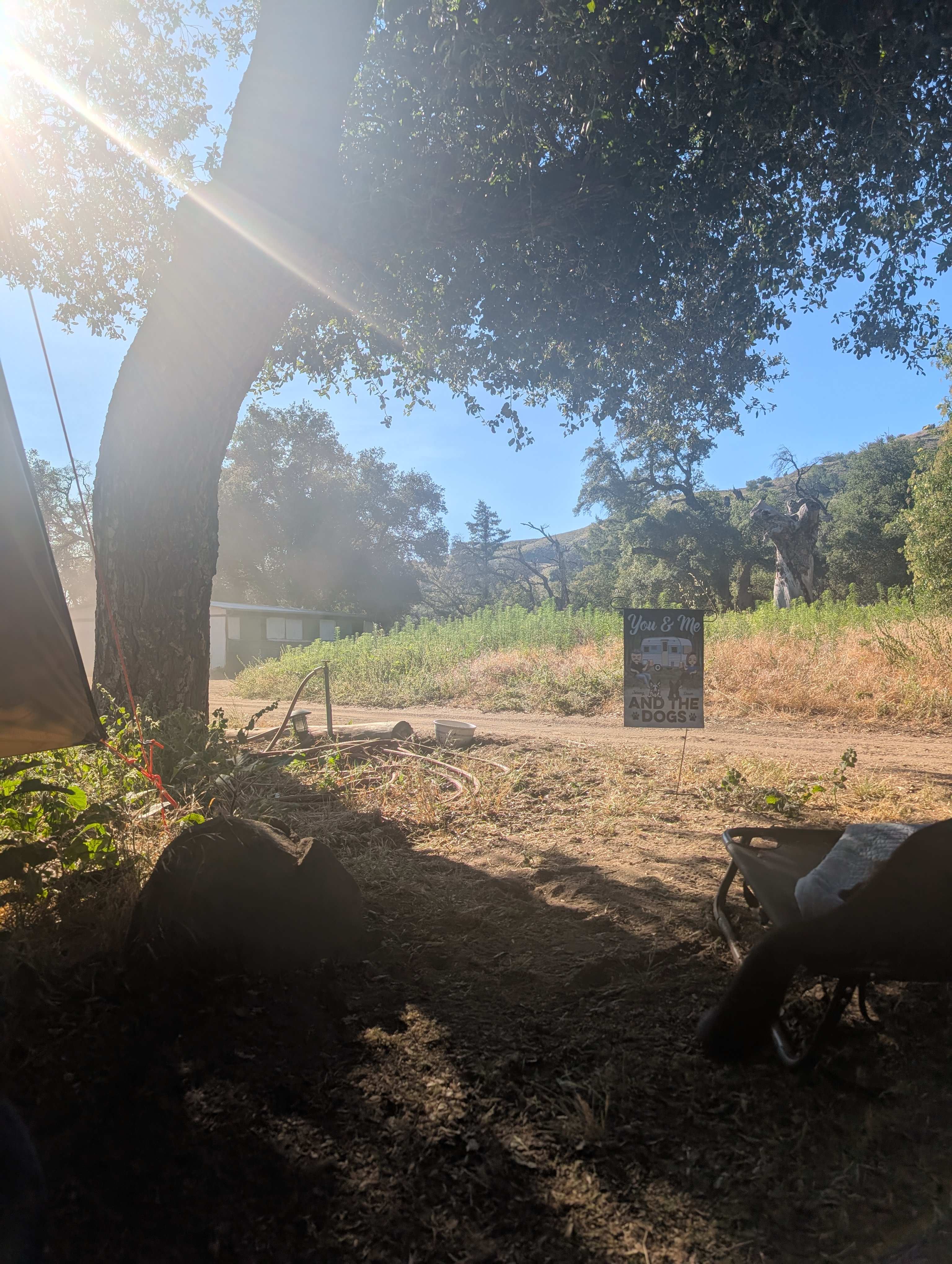 Magical Harrison Serenity Ranch