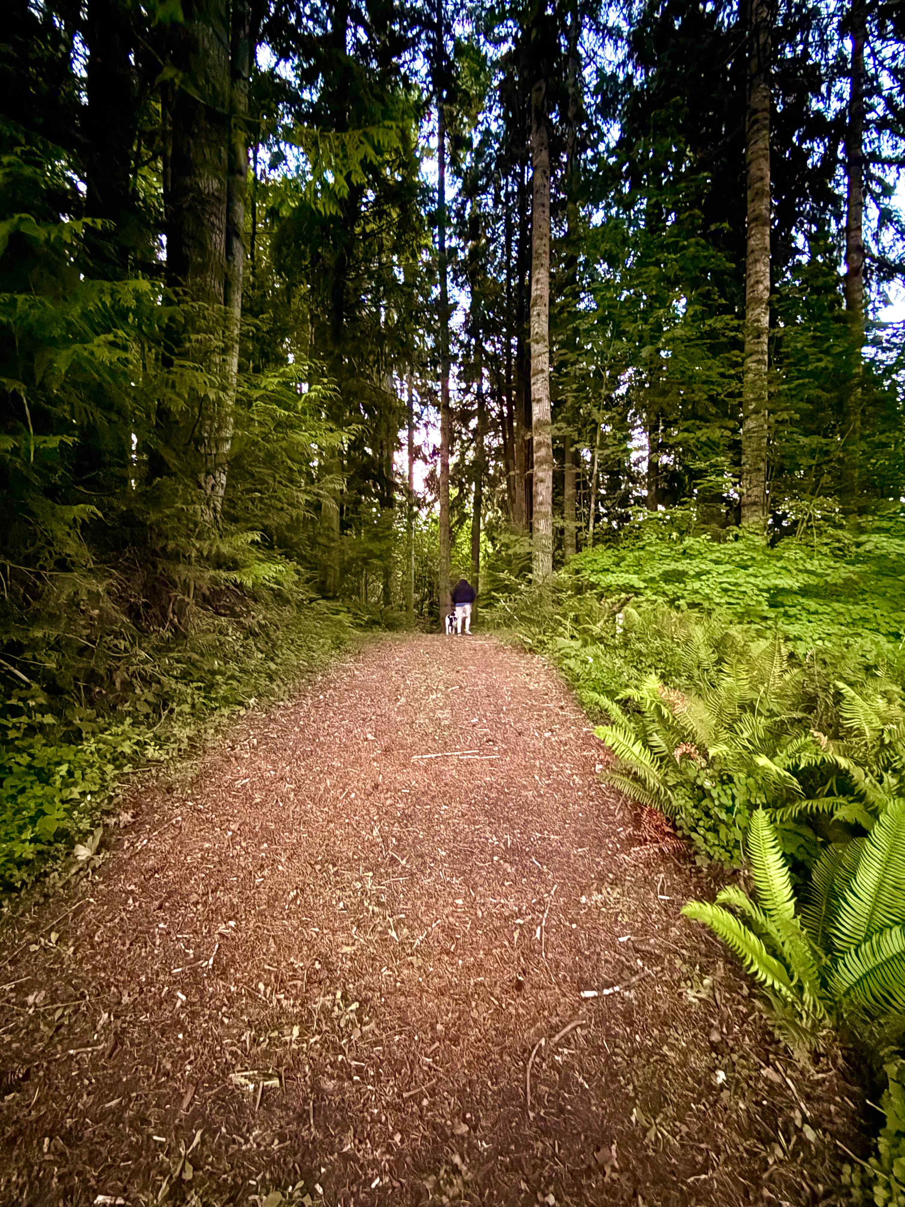 Trails around property 