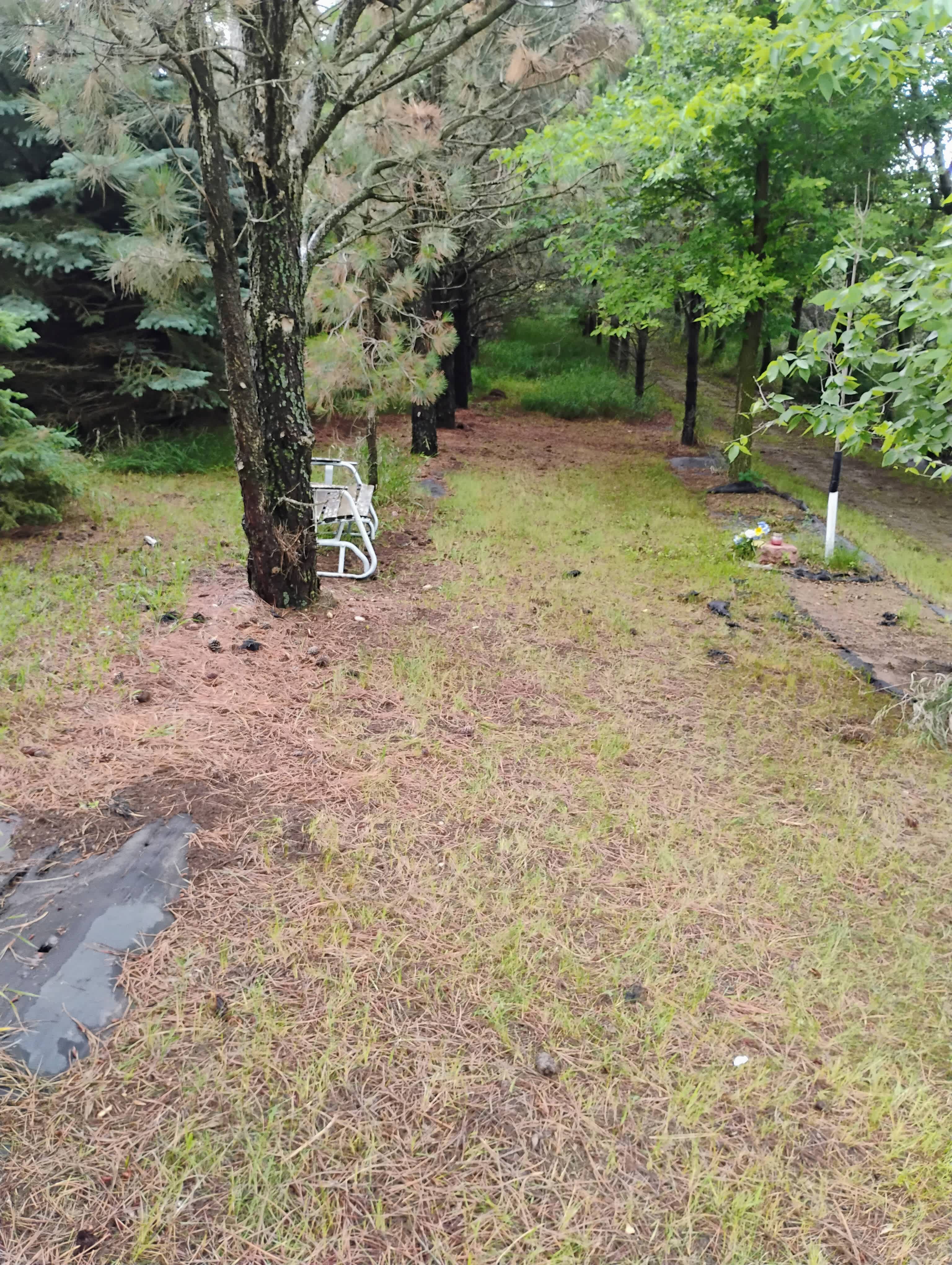 Secluded and Serene Tentground