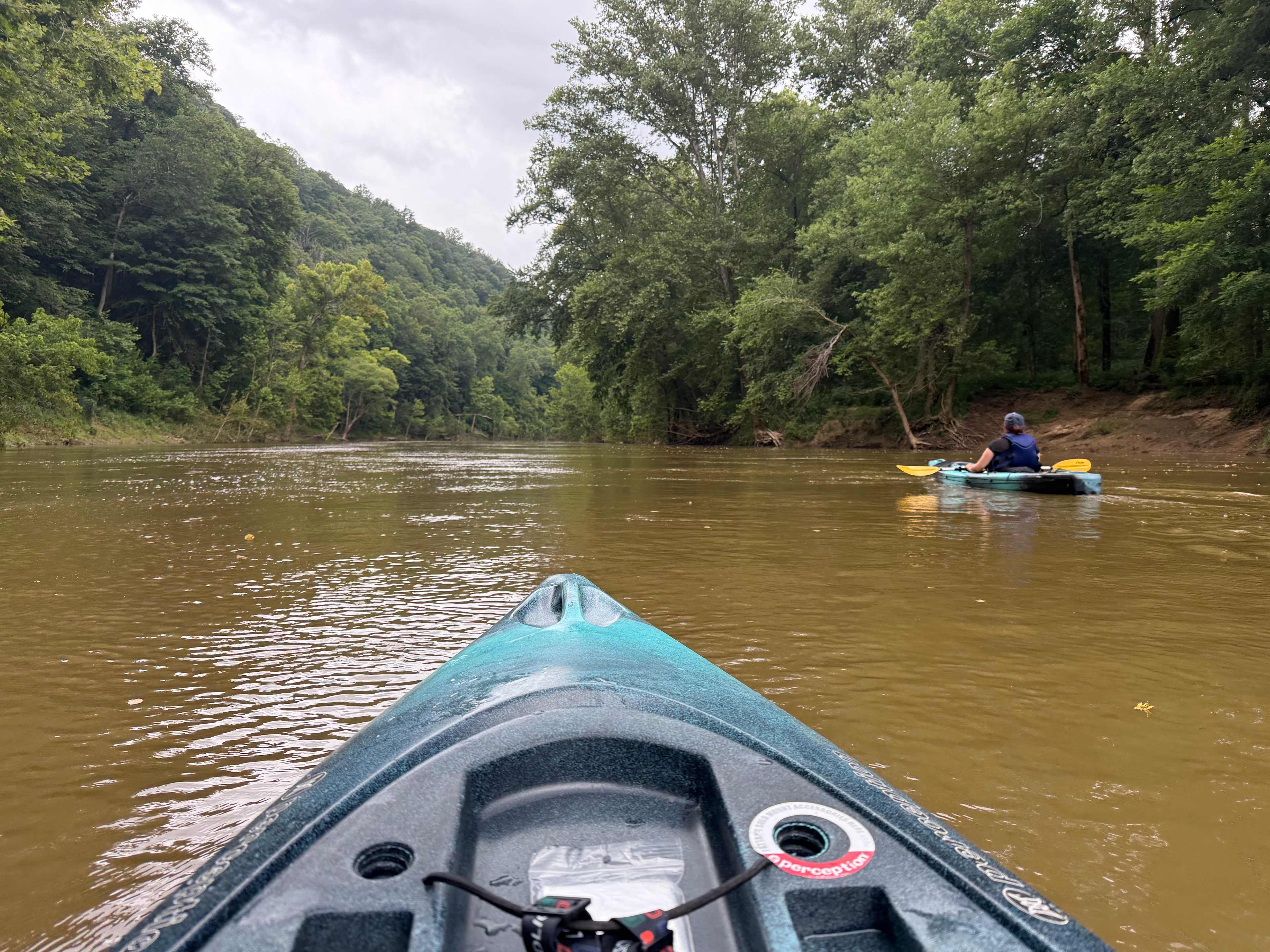 Kayak rental