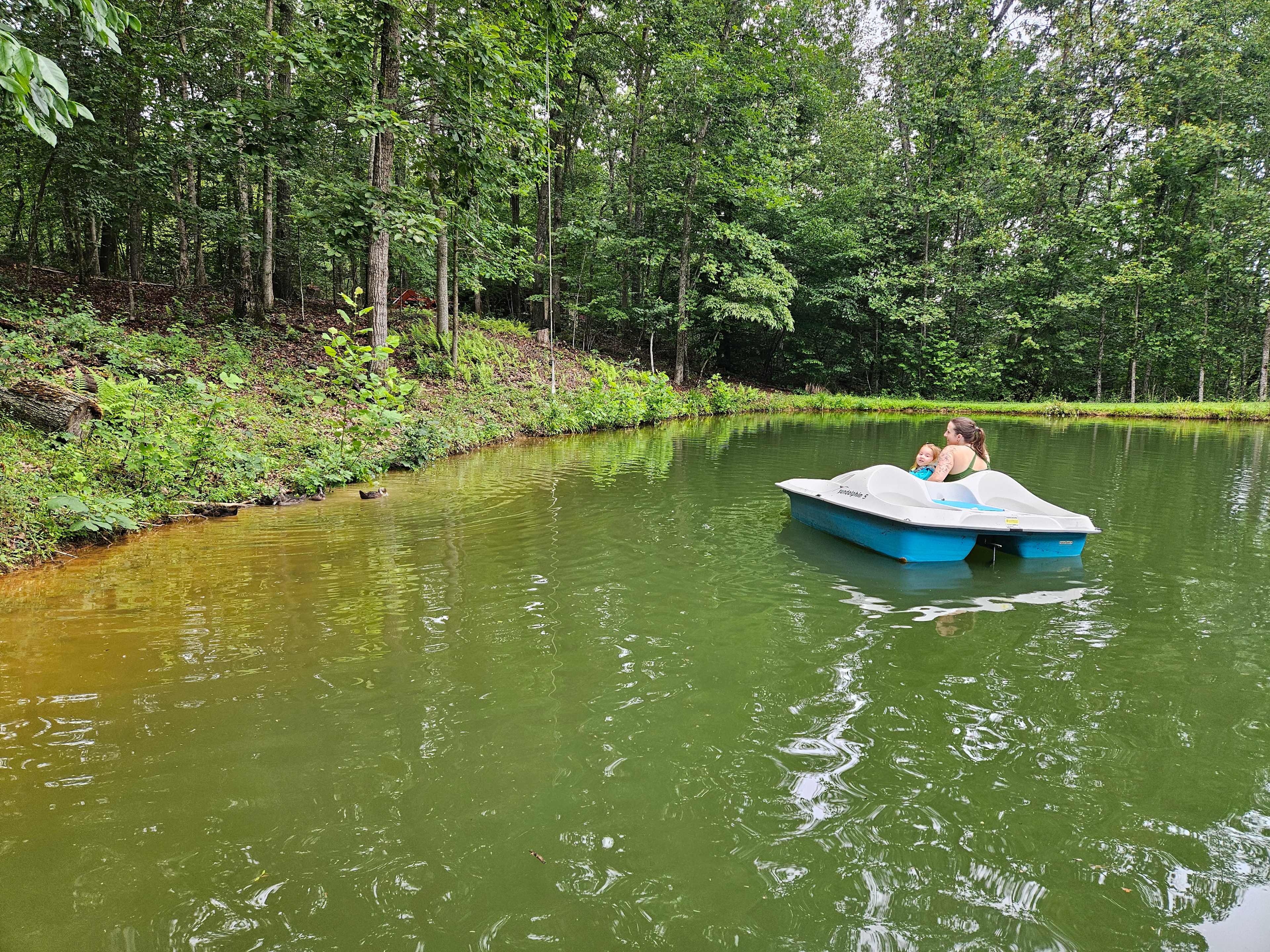 The Land On Hazel River